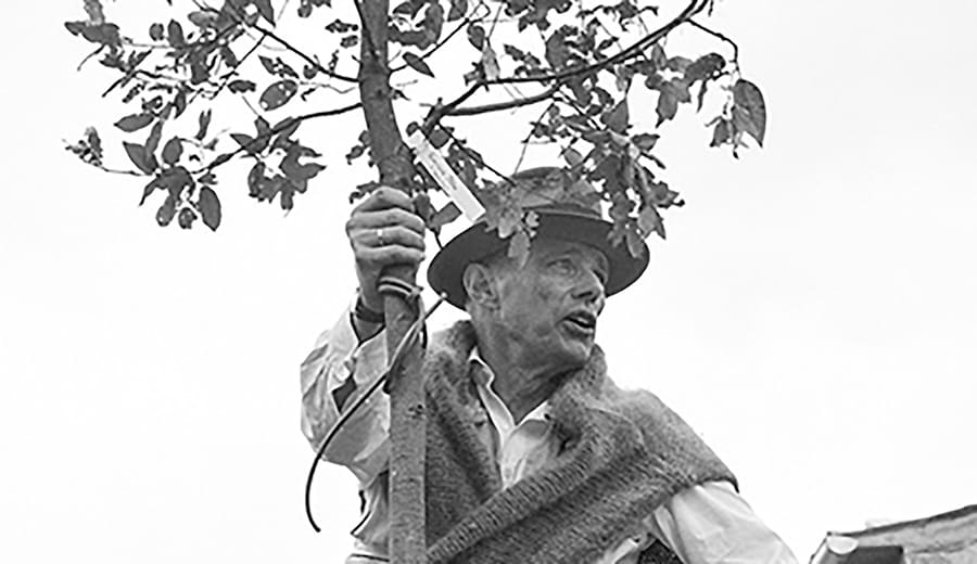 Joseph Beuys. DIFESA DELLA NATURA | FACCIAMO PRESTO