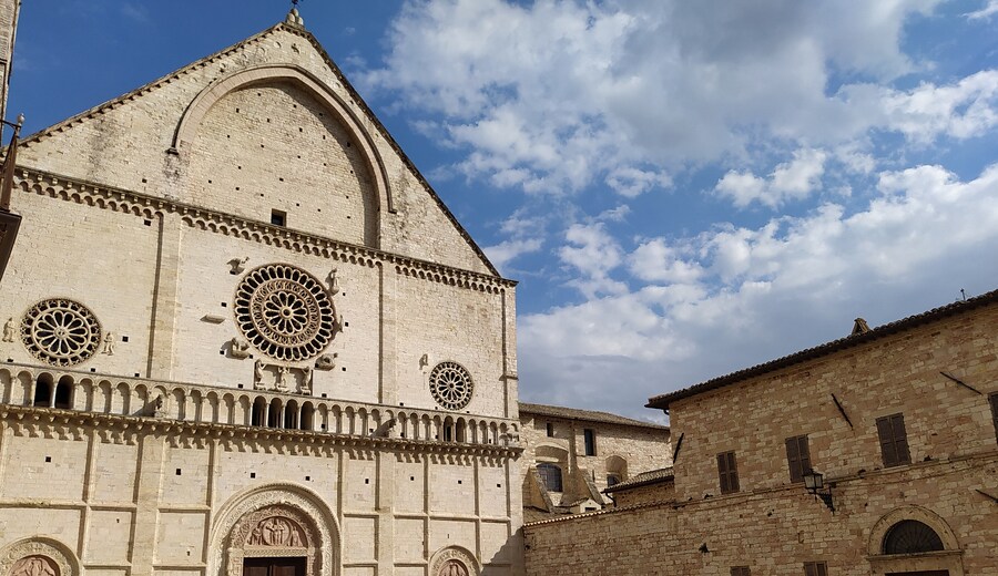 Progetto Genesi - Arte e diritti umani.