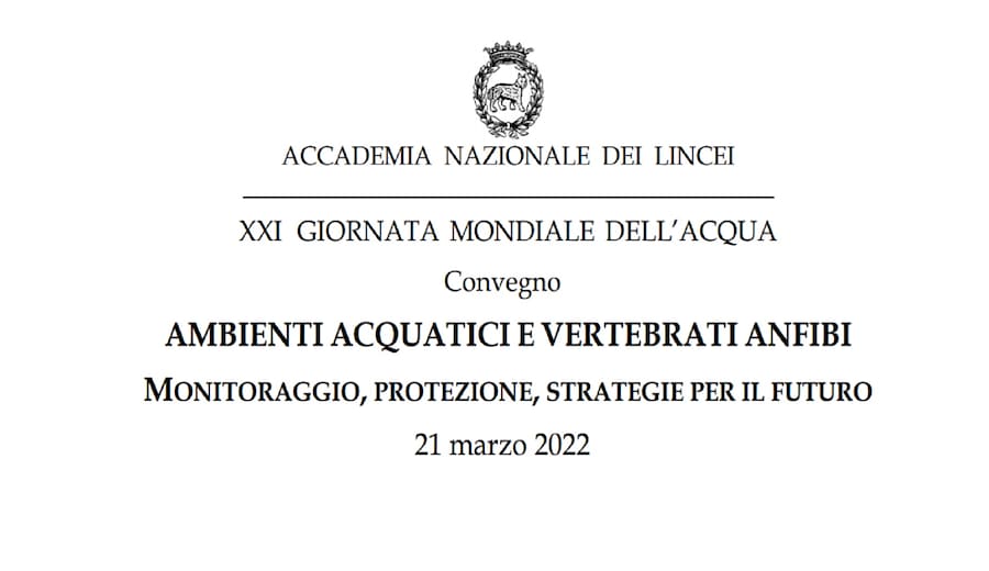 Ambienti acquatici e vertebrati anfibi