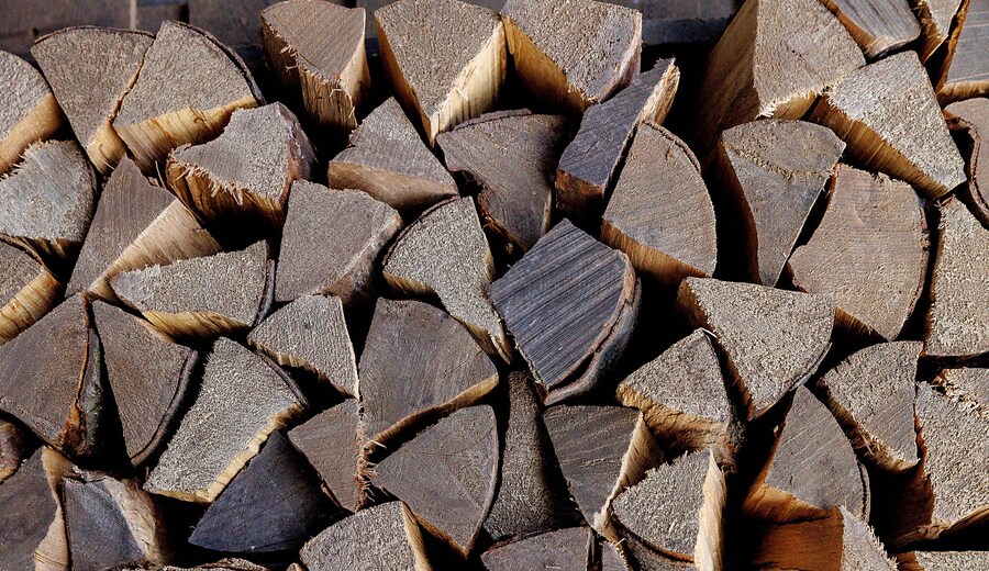 CNR: "Il legno, la materia del futuro"