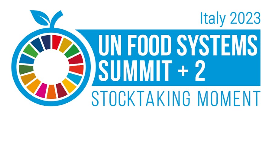  United Nations Food Systems Stocktaking Moment 2023