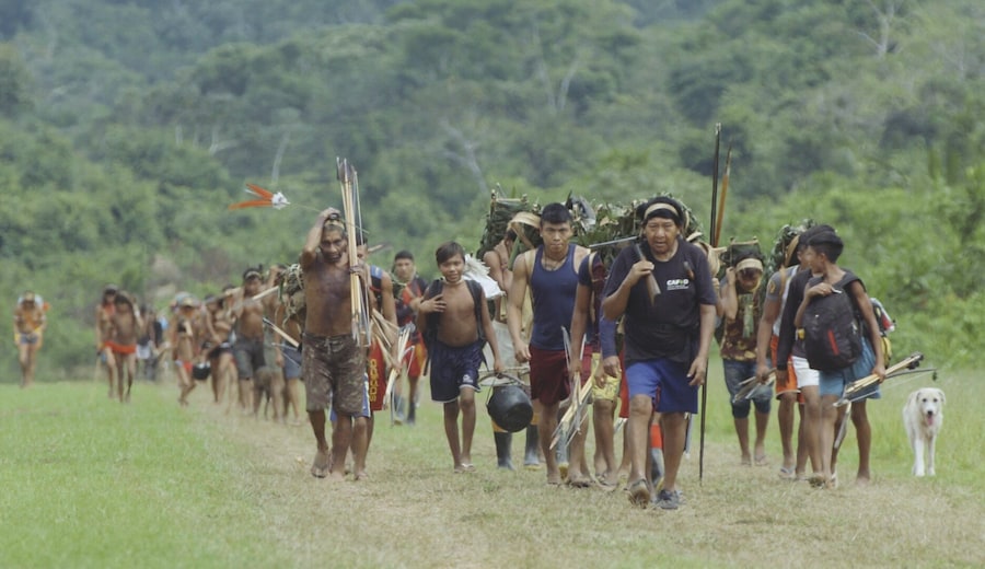 Cannes 2024: "The Falling Sky" alla Quinzaine Des Cinéastes 