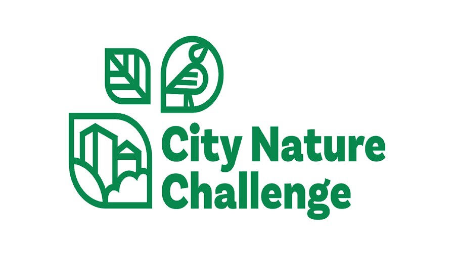 City Nature Challenge