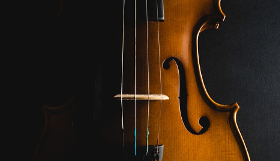 Bandi - Violino di fila