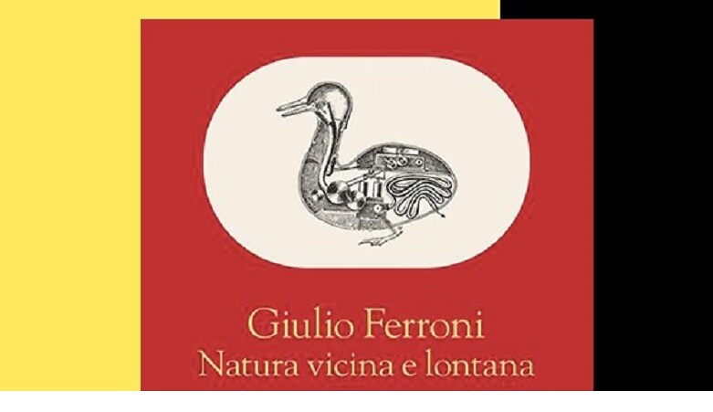 Umanesimo, rovina o salvezza dell'ambiente?