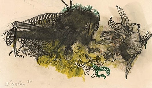 Zigaina in dialogo e Un secolo di disegno italiano