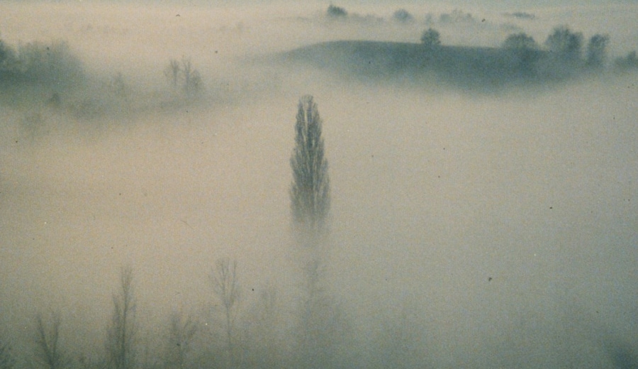 "Il pianeta azzurro" di Franco Piavoli