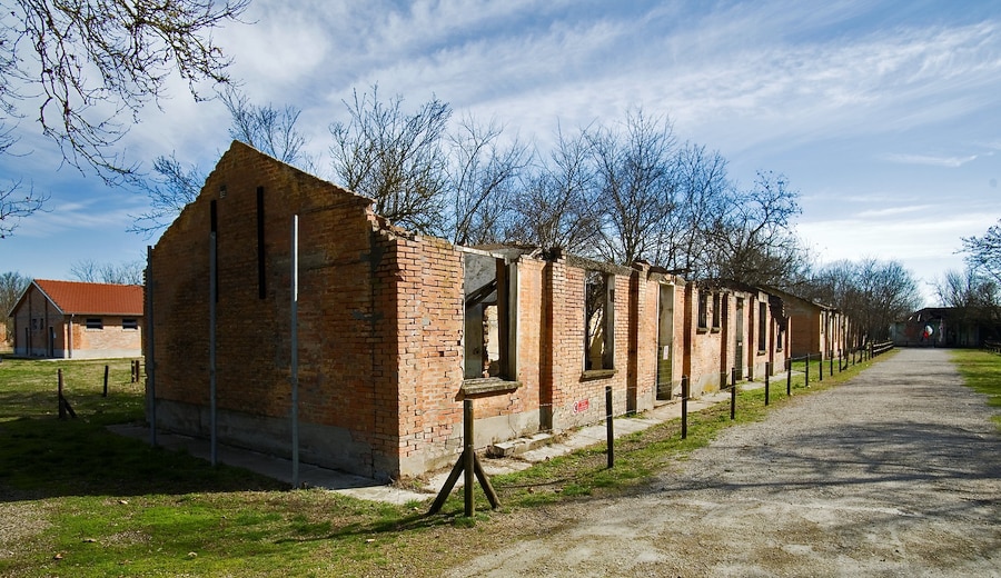 Il Viaggio della Memoria parte dall'Italia