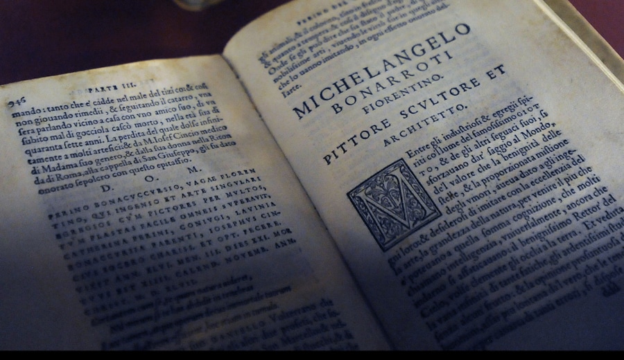 L'immagine storiografica di Michelangelo architetto