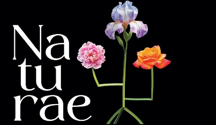 NATURAE. Connessioni tra terra e arte
