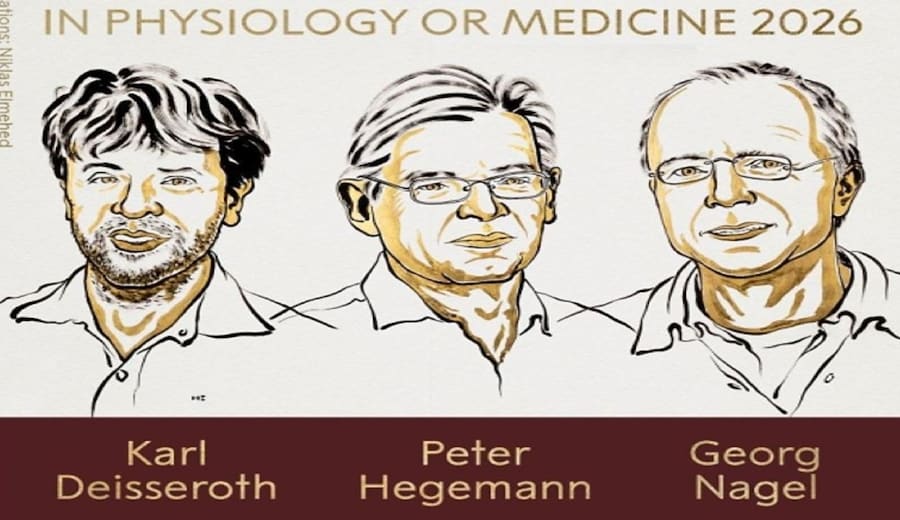 Un interruttore di luce nel cervello: all'optogenetica il Nobel per la Medicina 2026