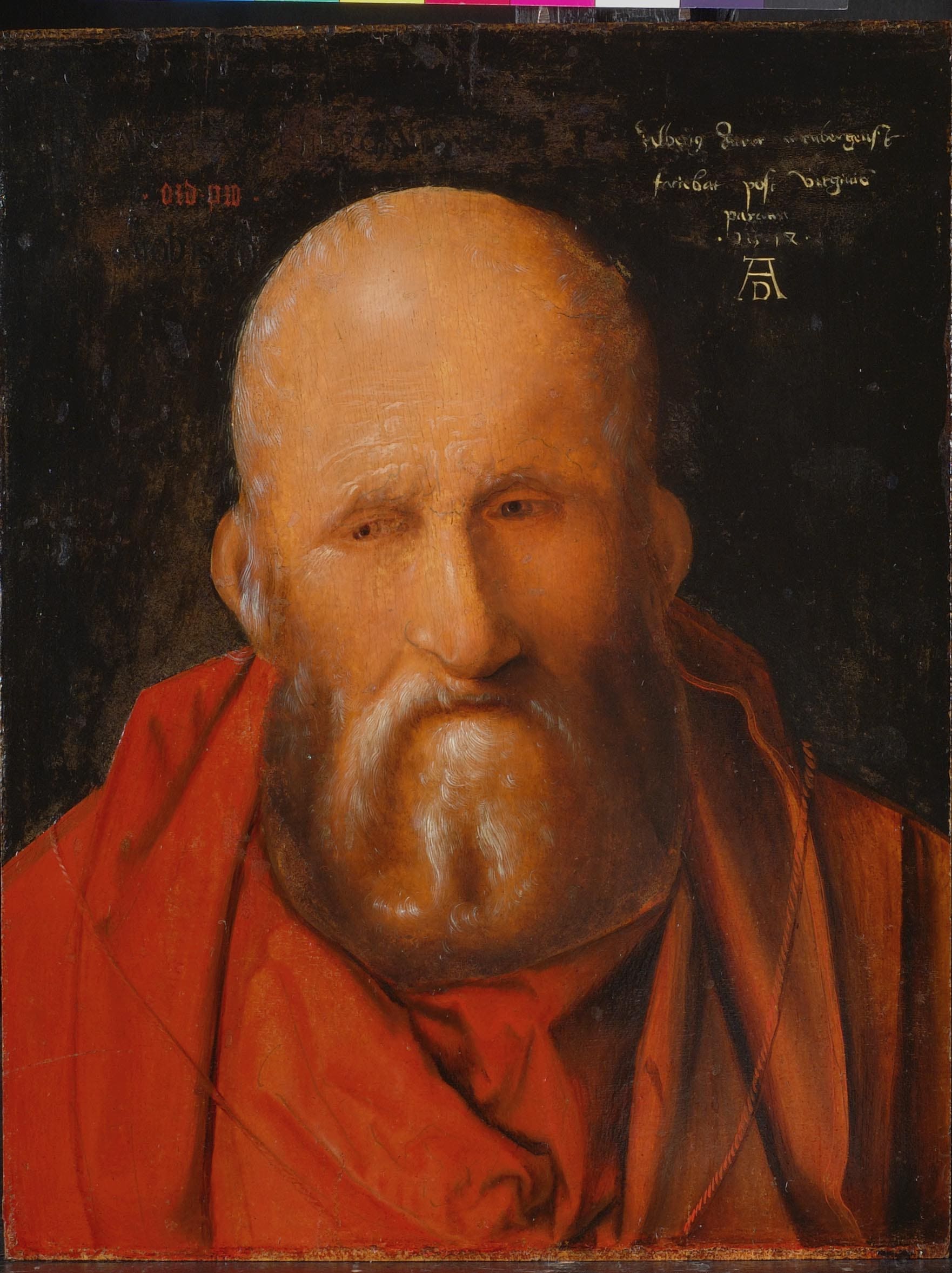 Albrecht Dürer (Norimberga 1471-1528) San Girolamo. 1514. Olio su tavola, cm 33,2x25,6. Siena, Pinacoteca Nazionale 