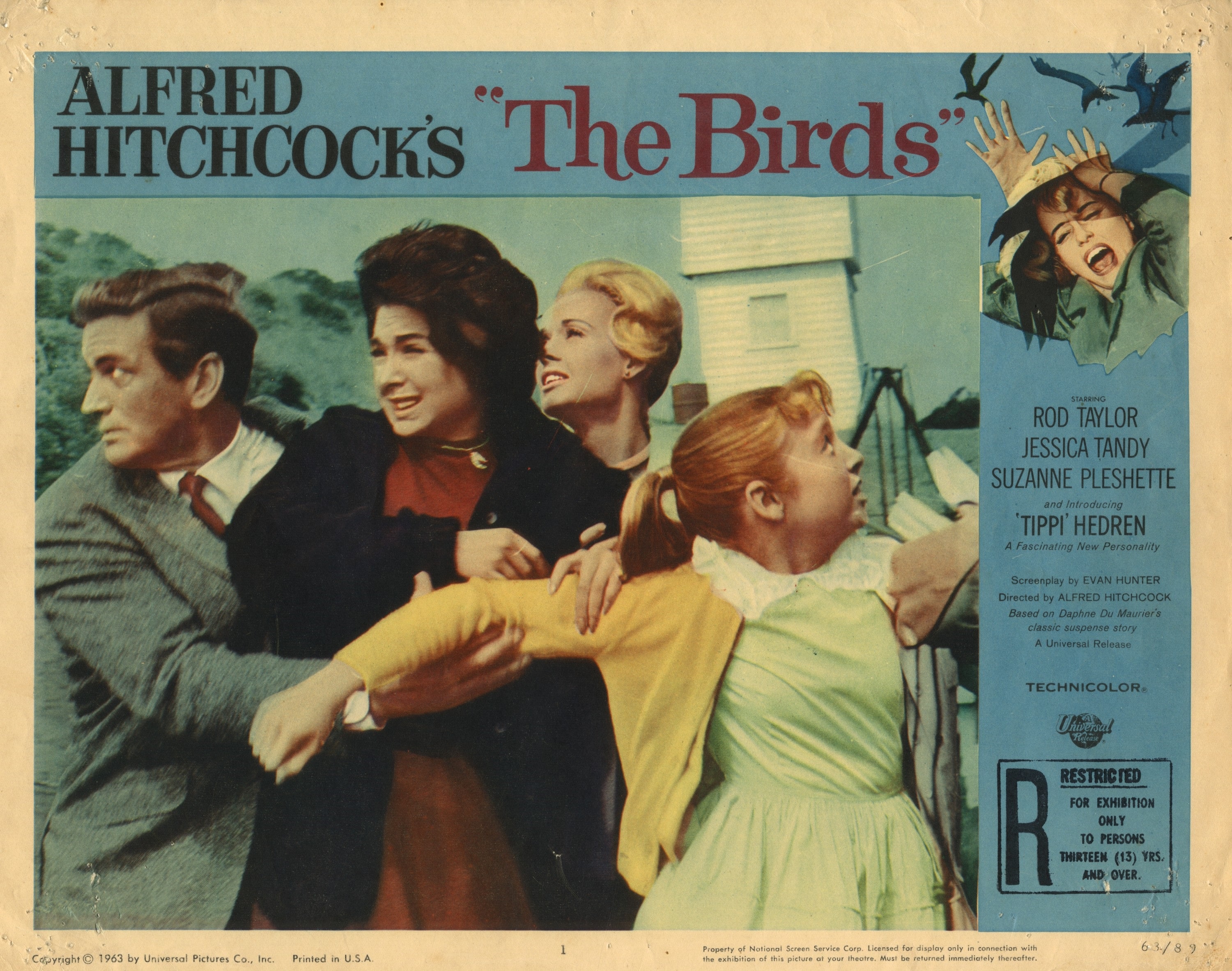 Locandina originale del film Gli uccelli