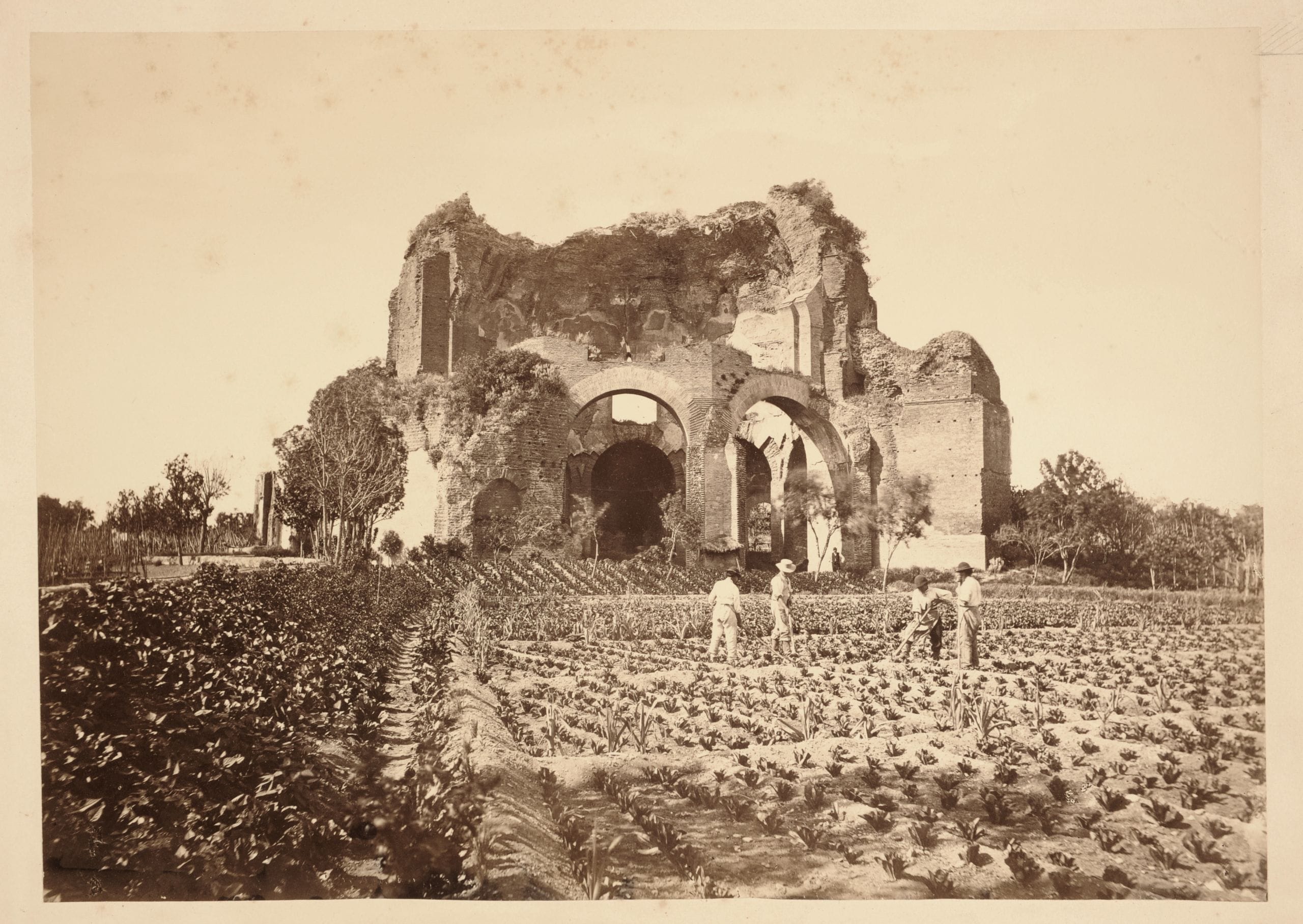 Tempio di Minerva Medica con coltivazione di ortaggi, 1860 ca. Gioacchino Altobelli (1814 – post 1878), Pompeo Molins (1827-1900 ca.). Stampa all’albumina