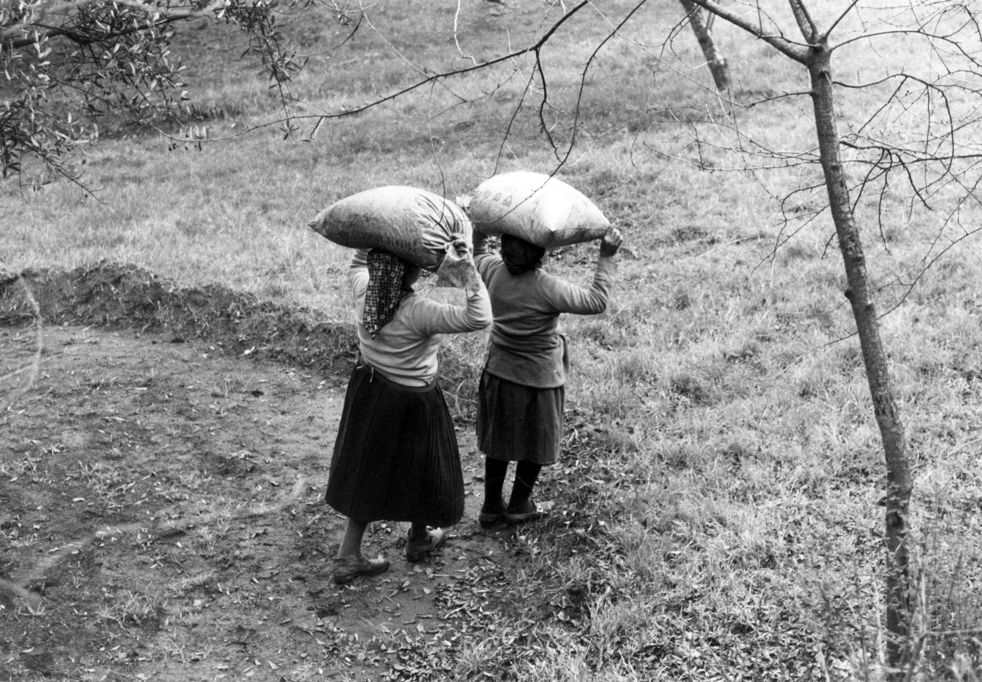 Donne braccianti in campagna