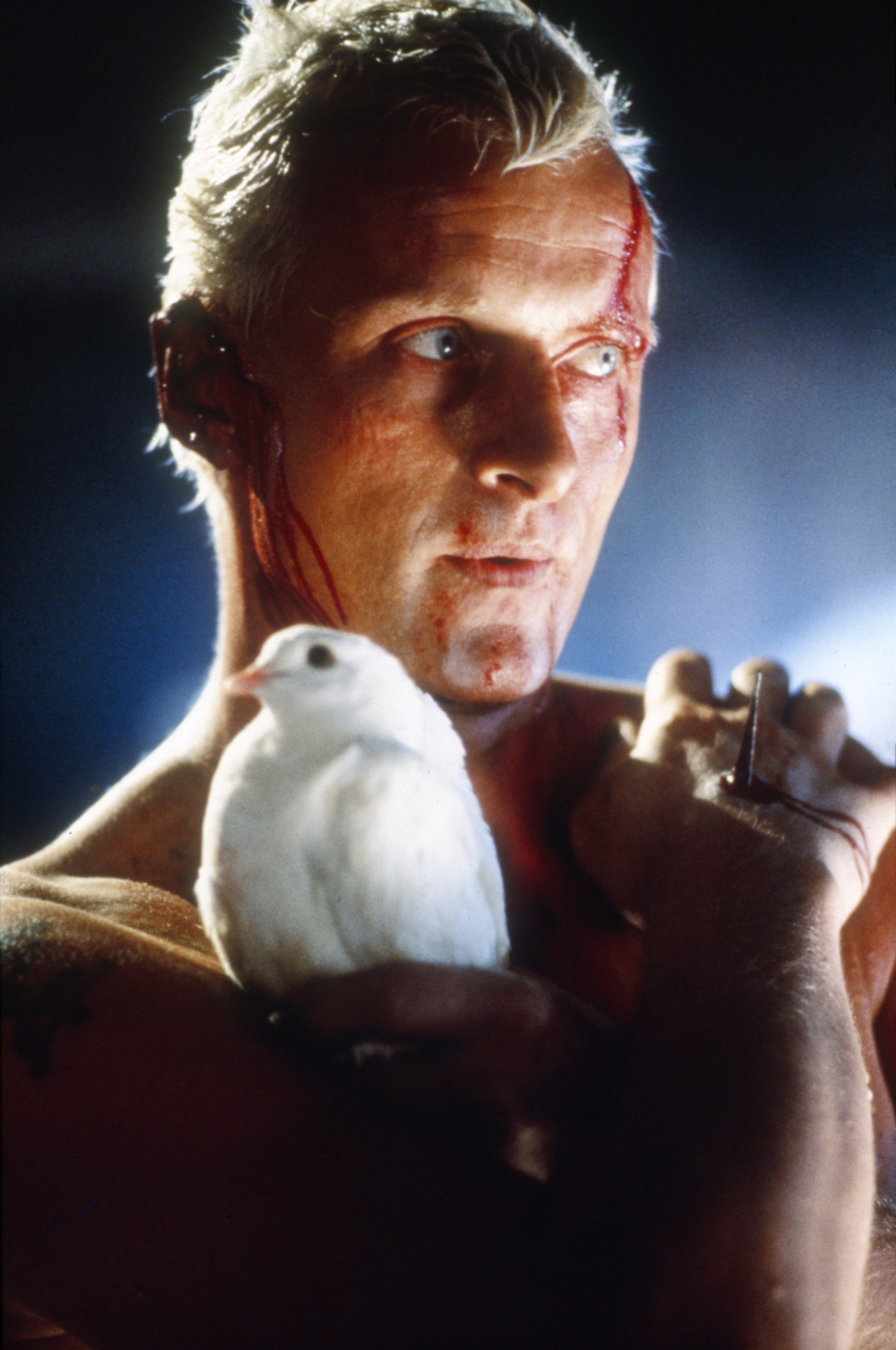 Roy Batty con una colomba
