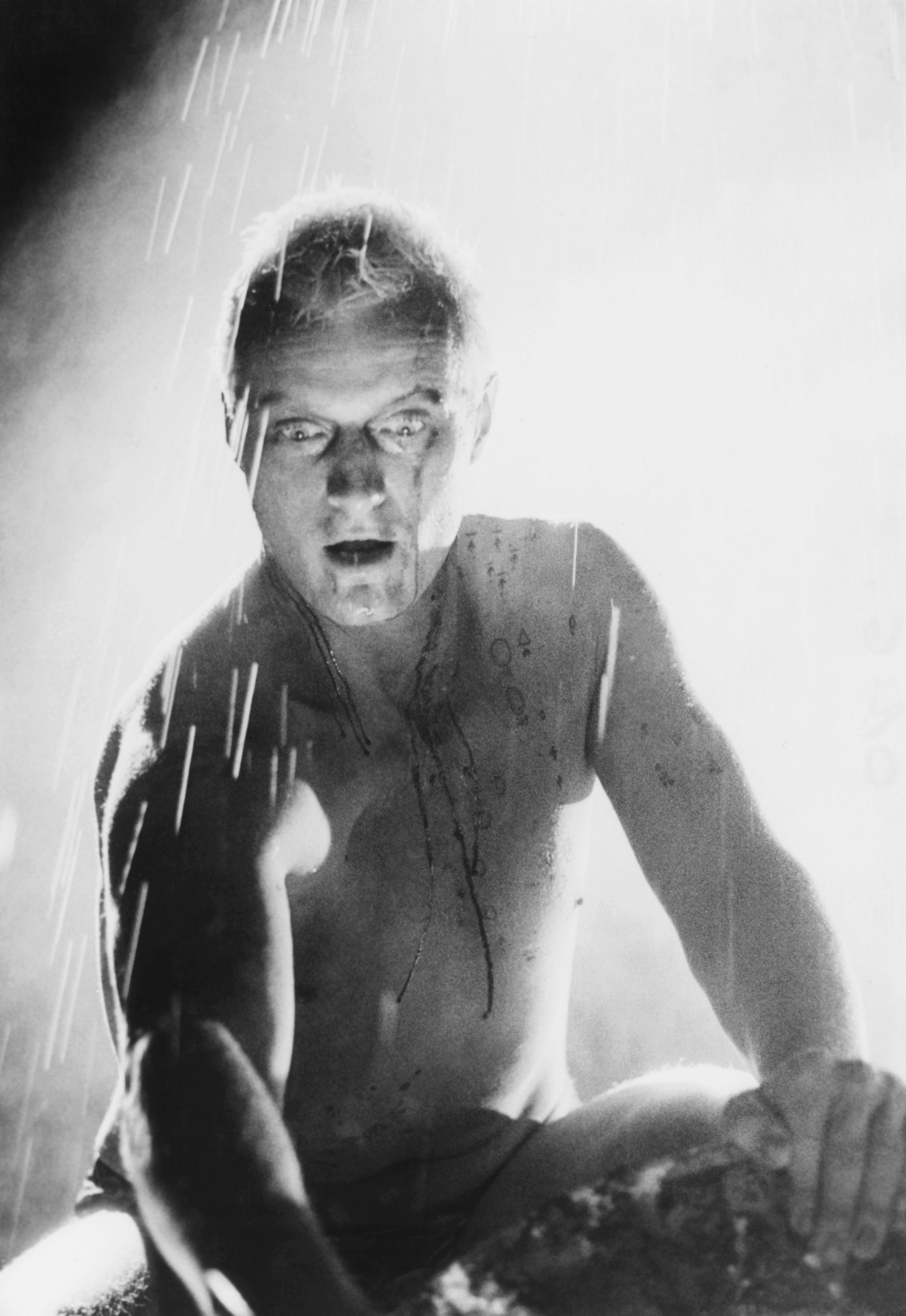 Rutger Hauer
