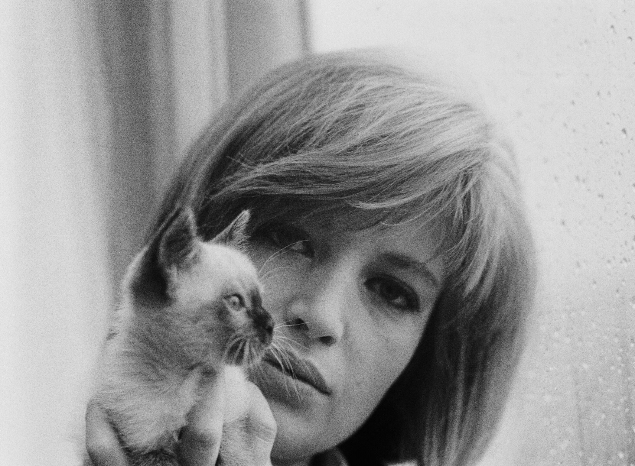 Foto con micio, 1965