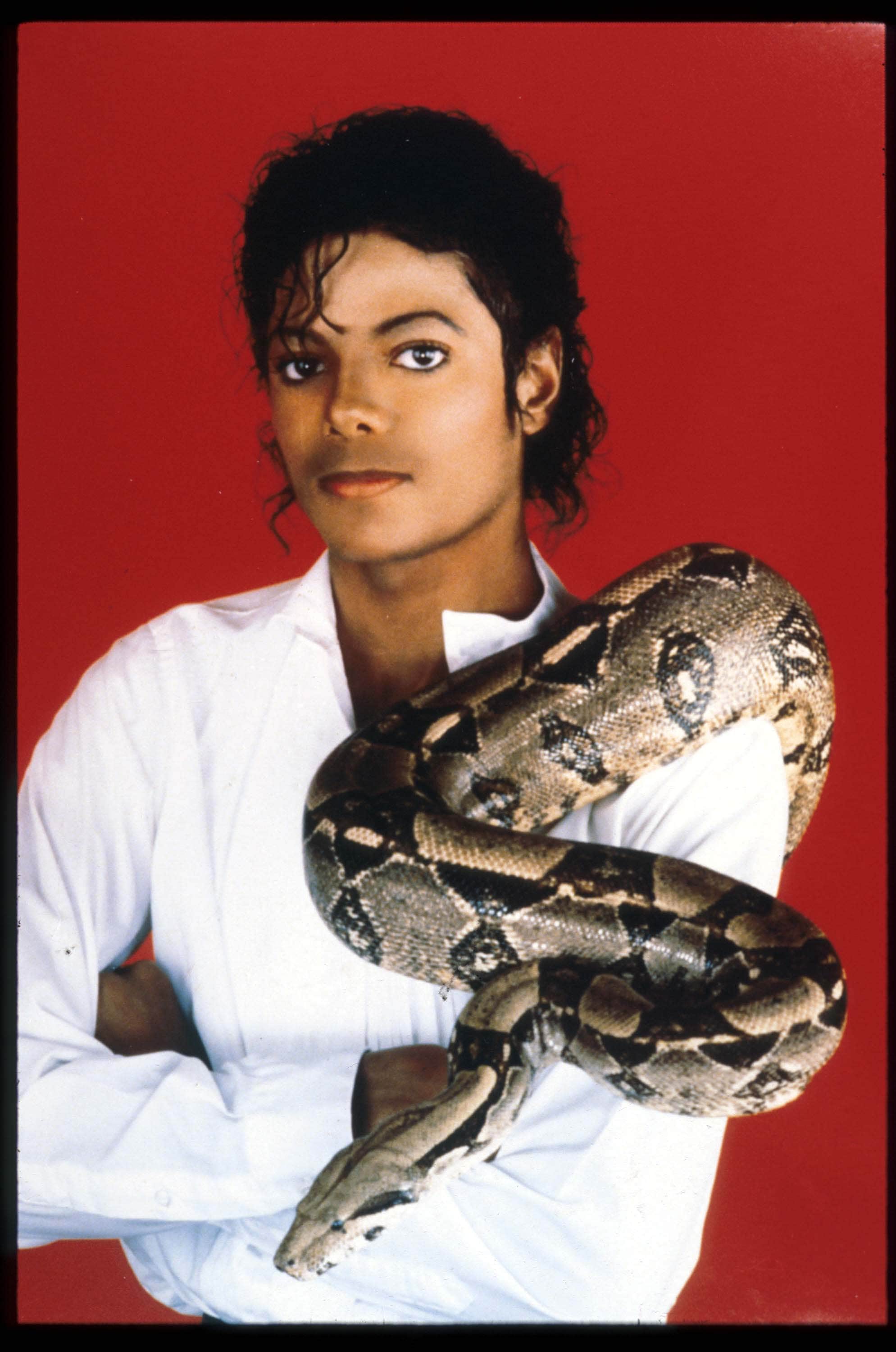 Settembre 1987. Michael Jackson posa col suo nuovo animale domestico, un boa constrictor