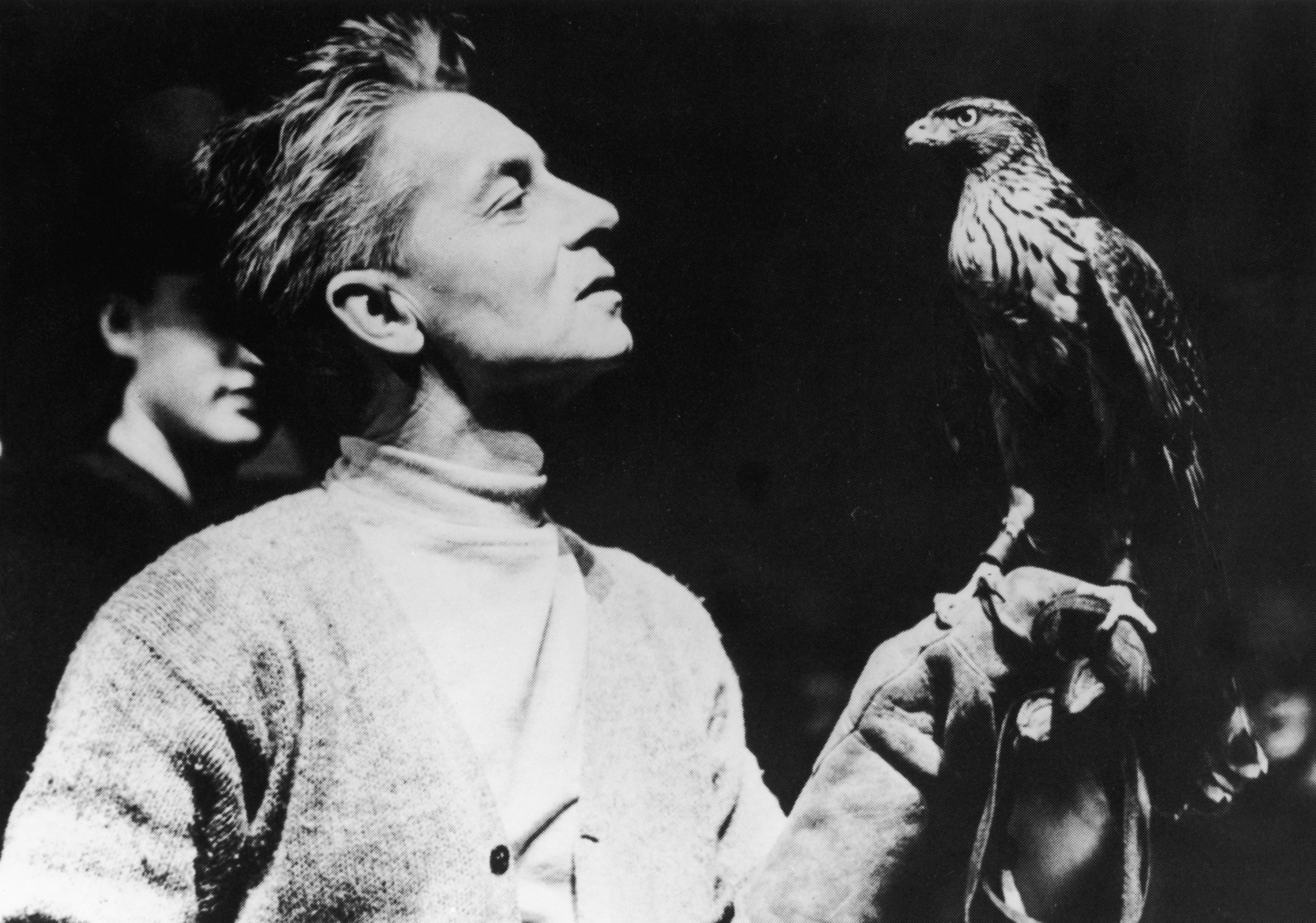 Herbert von Karajan con un falcone, 1955. 