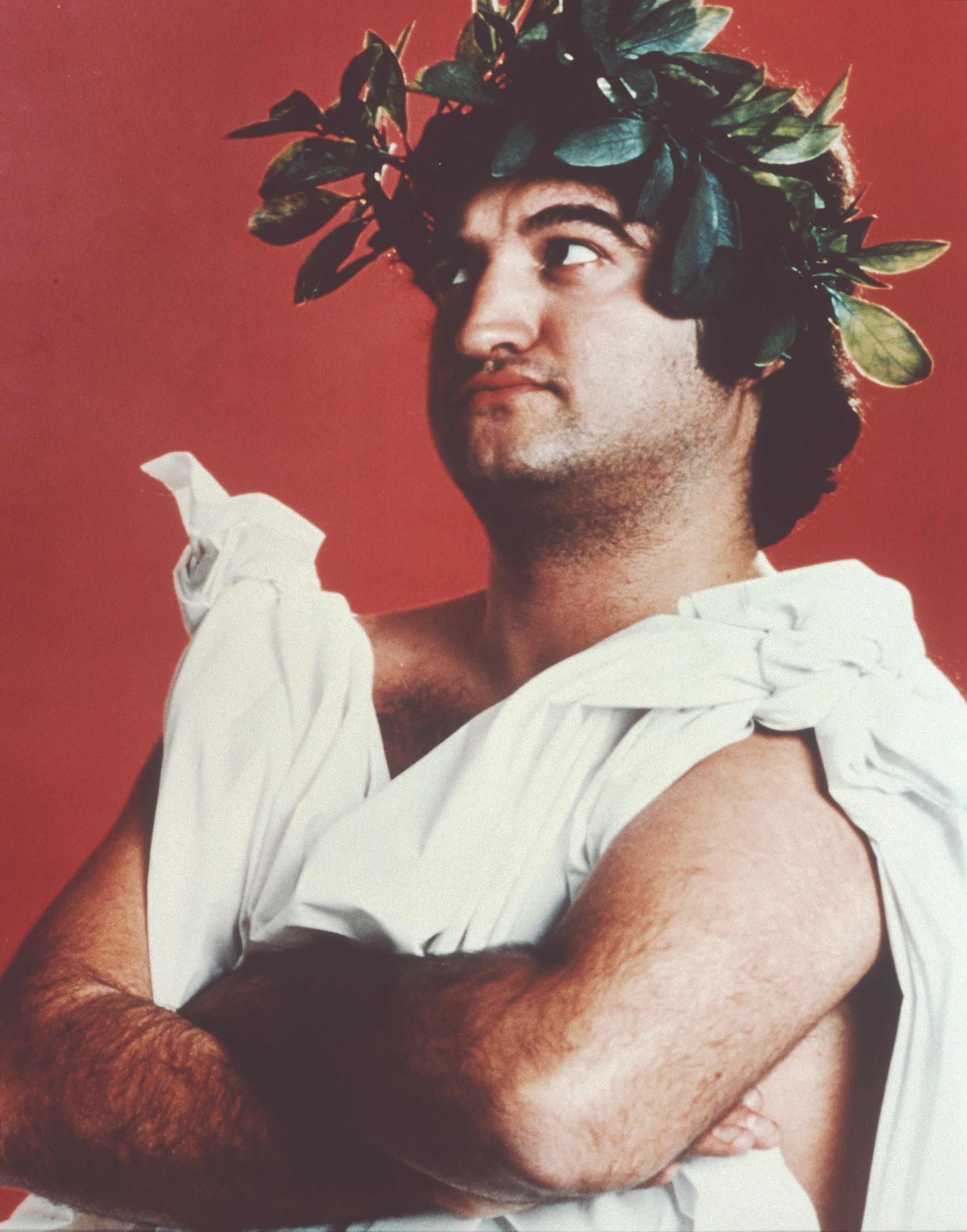 Un'immagine cult: Belushi in Animal House