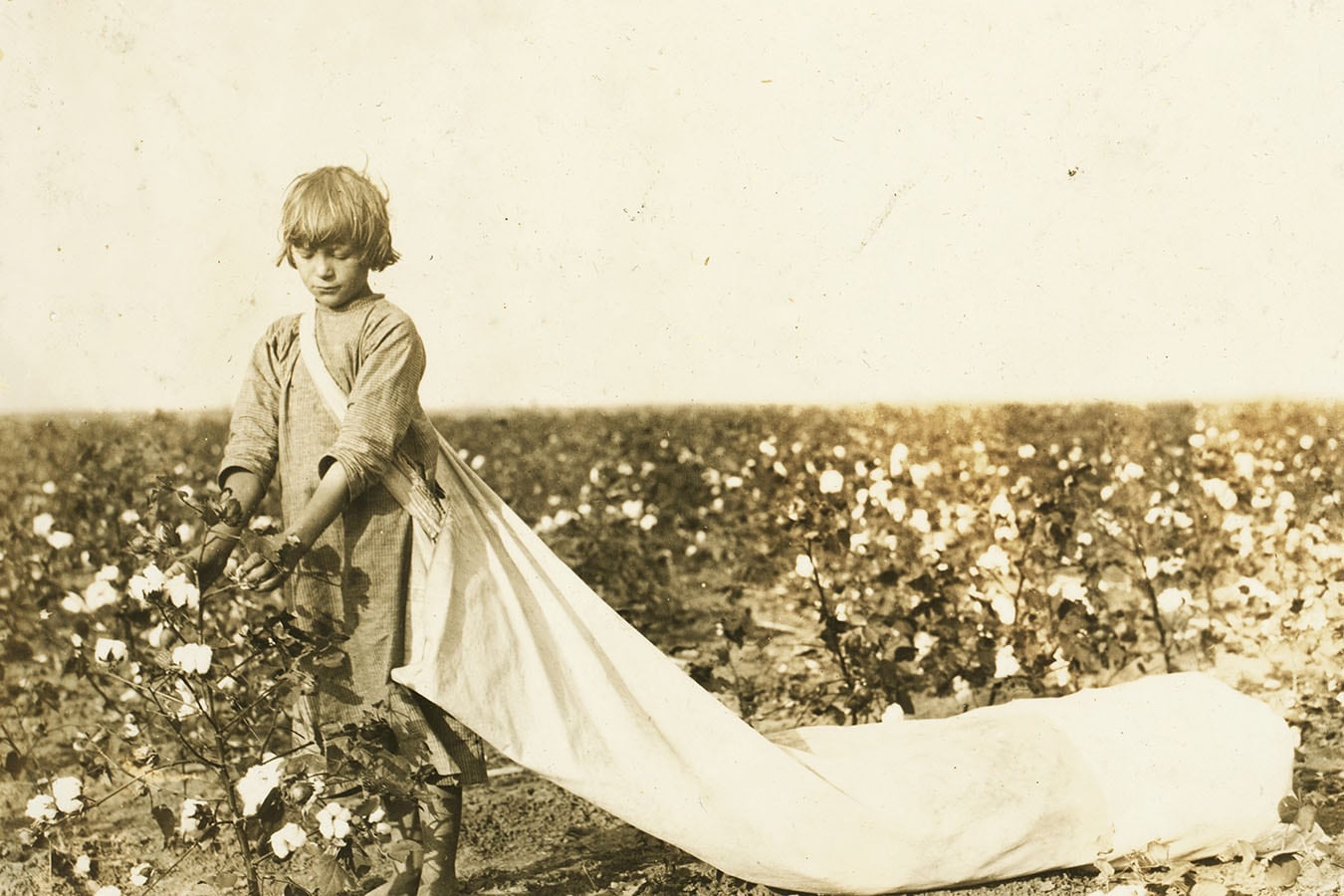Norma Lawrence, 10 anni, raccoglie da 100 a 150 libbre di cotone al giorno. 10 ottobre 1916. Comanche County, Oklahoma, USA. Foto di Lewis Wickes Hine © Courtesy Library of Congress, Prints & Photographs Division, National Child Labor Committee Collection