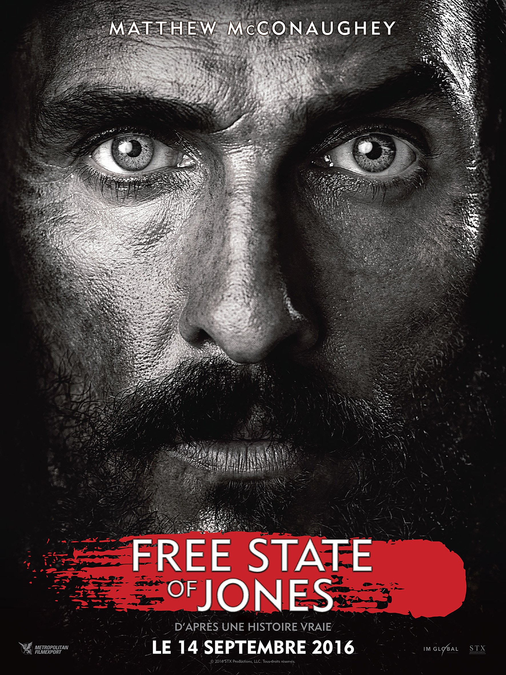 Locandina di Free state of Jones 2014