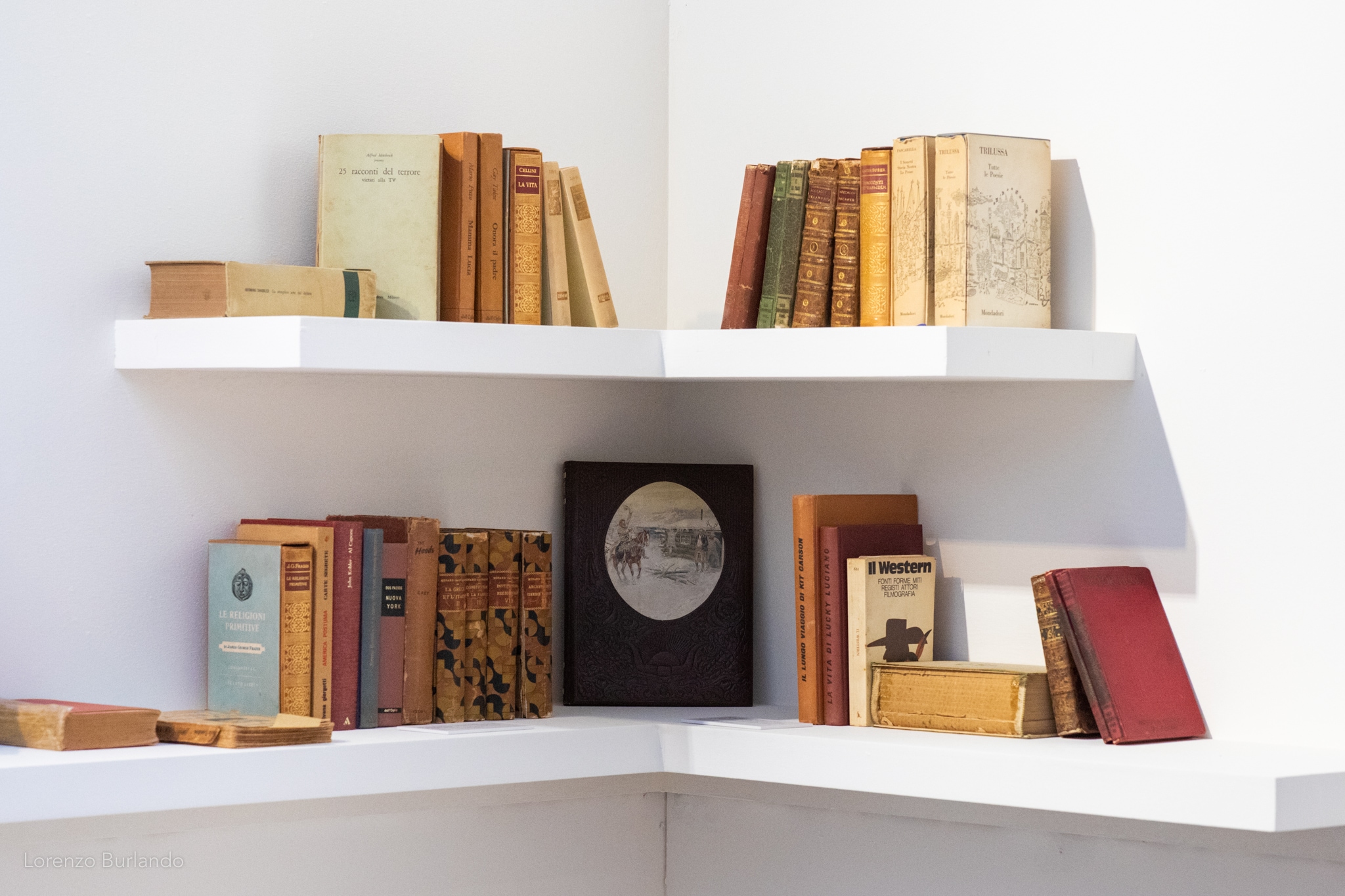 Una parte della biblioteca Leone