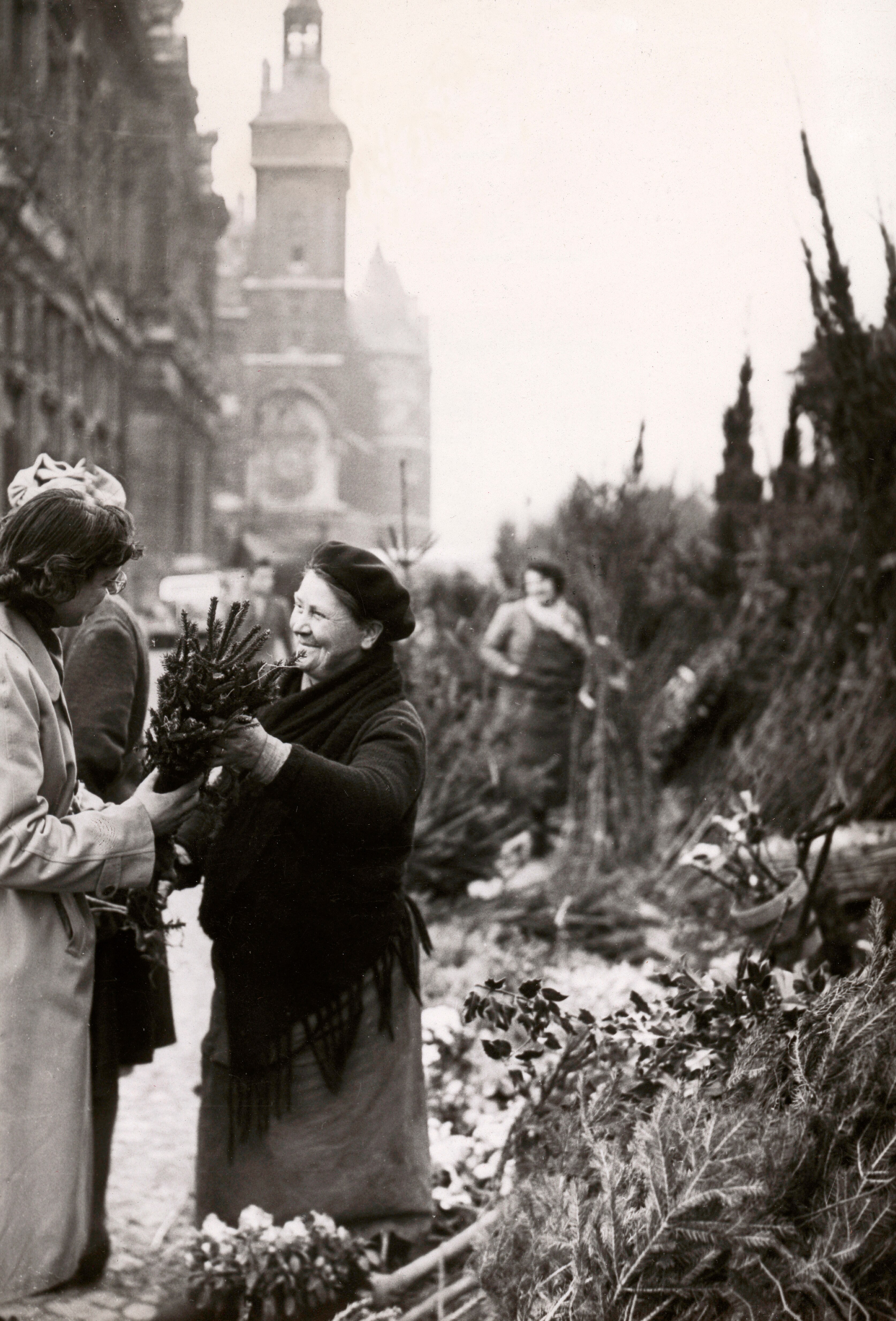 Vendita di alberi di Natale al mercato dei fiori di Parigi, nel dicembre del 1948