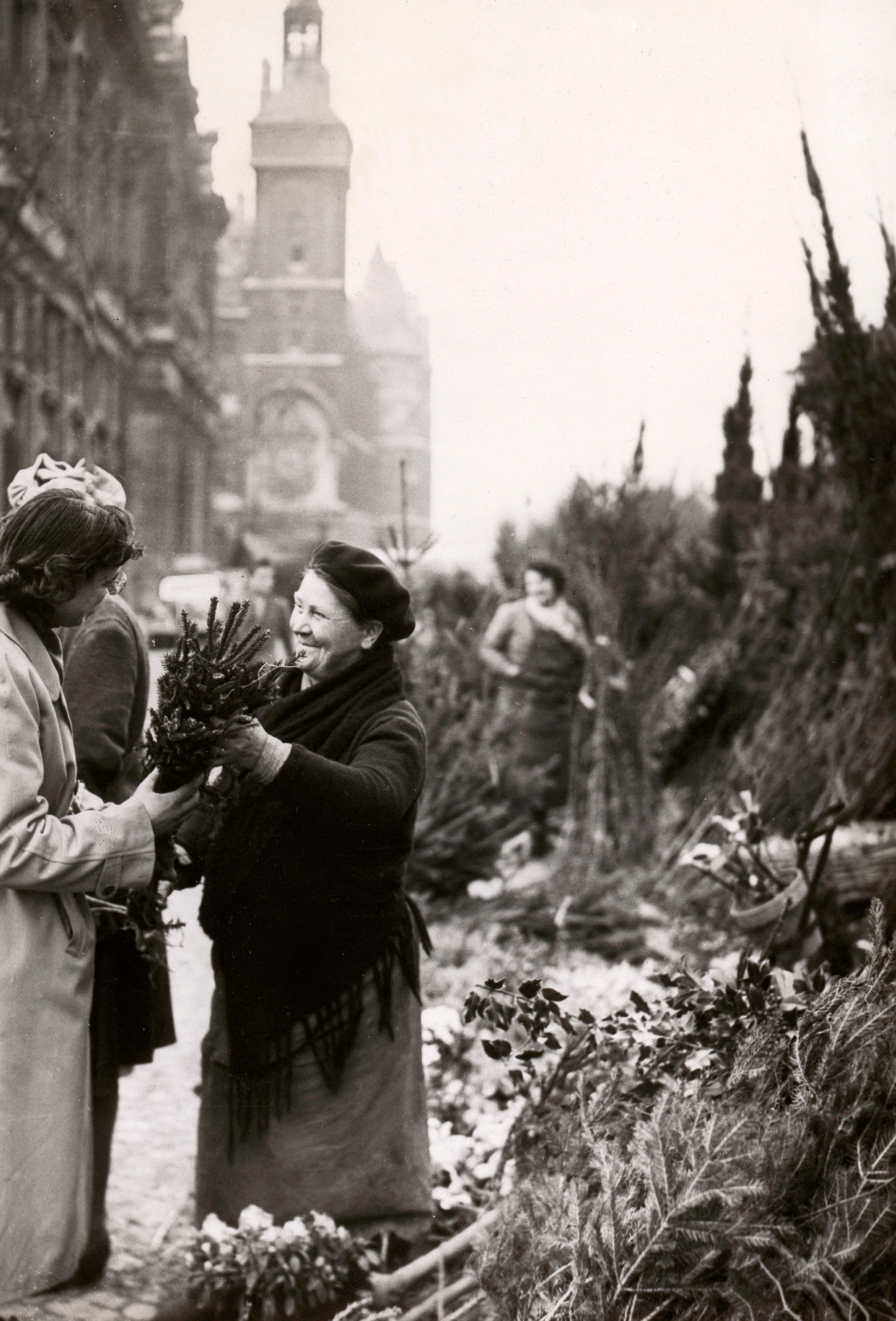 Vendita di alberi di Natale al mercato dei fiori di Parigi, nel dicembre del 1948