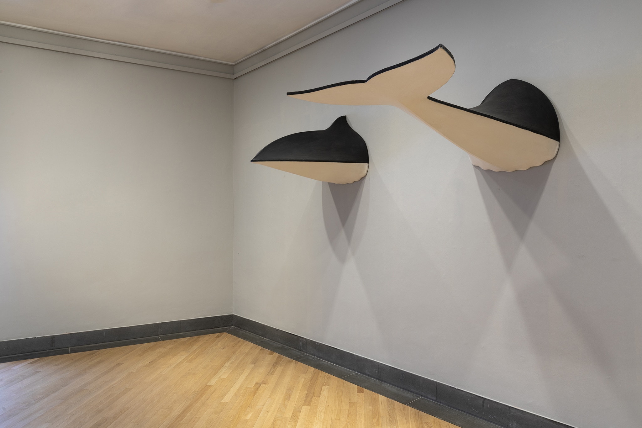 Pino Pascali - Delfino, 1966 - Tela nera e bianca su struttura in legno - GAMeC - Galleria d'Arte Moderna e Contemporanea di Bergamo - Lascito Tito G. Spini, 2018 Foto: Roberto Marossi 