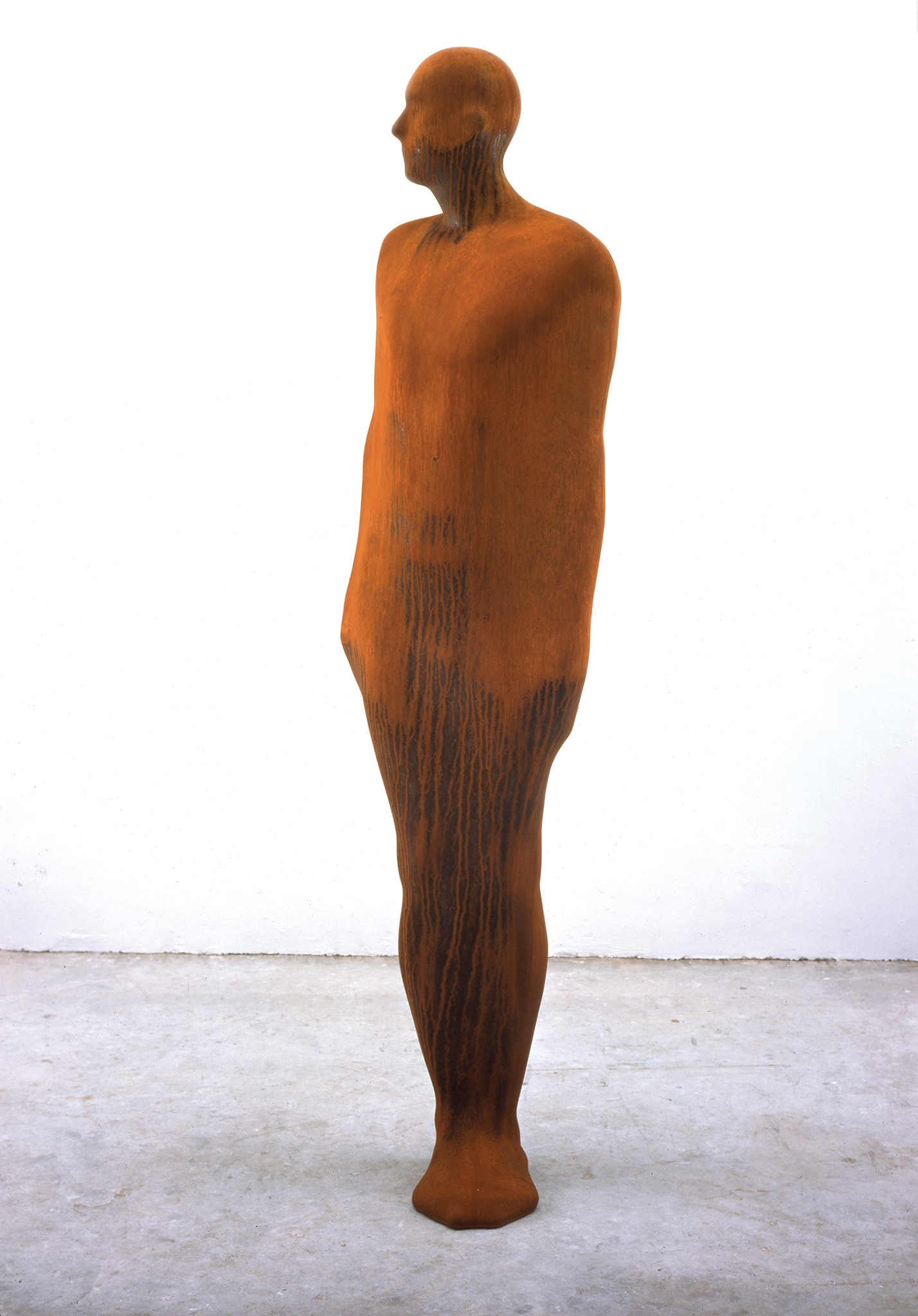 Antony Gormley - Here and there, 2002 - ghisa, cm 225 x 81 x 75 - GAM - Galleria Civica d'Arte Moderna e Contemporanea, Torino 