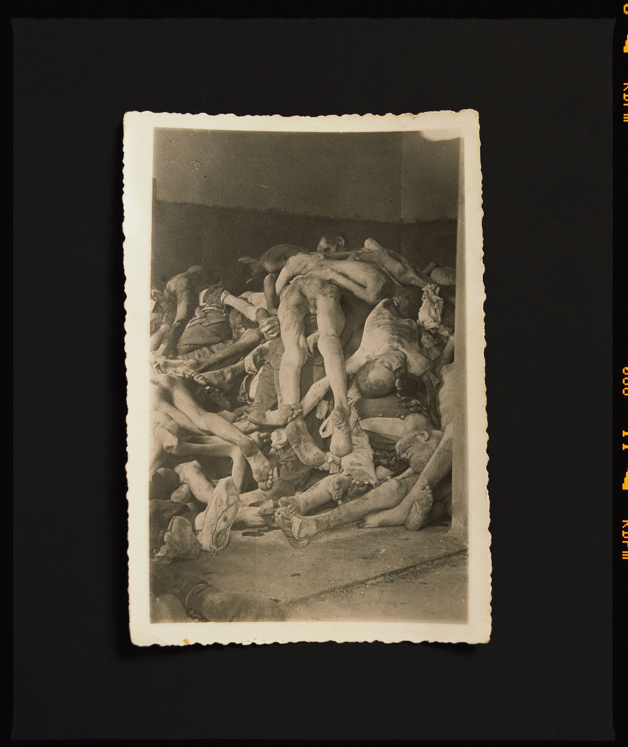 Andres Serrano, "Deathcamp", 2020. Dall'Archivio: Stampa a pigmenti 50 x 60 pollici