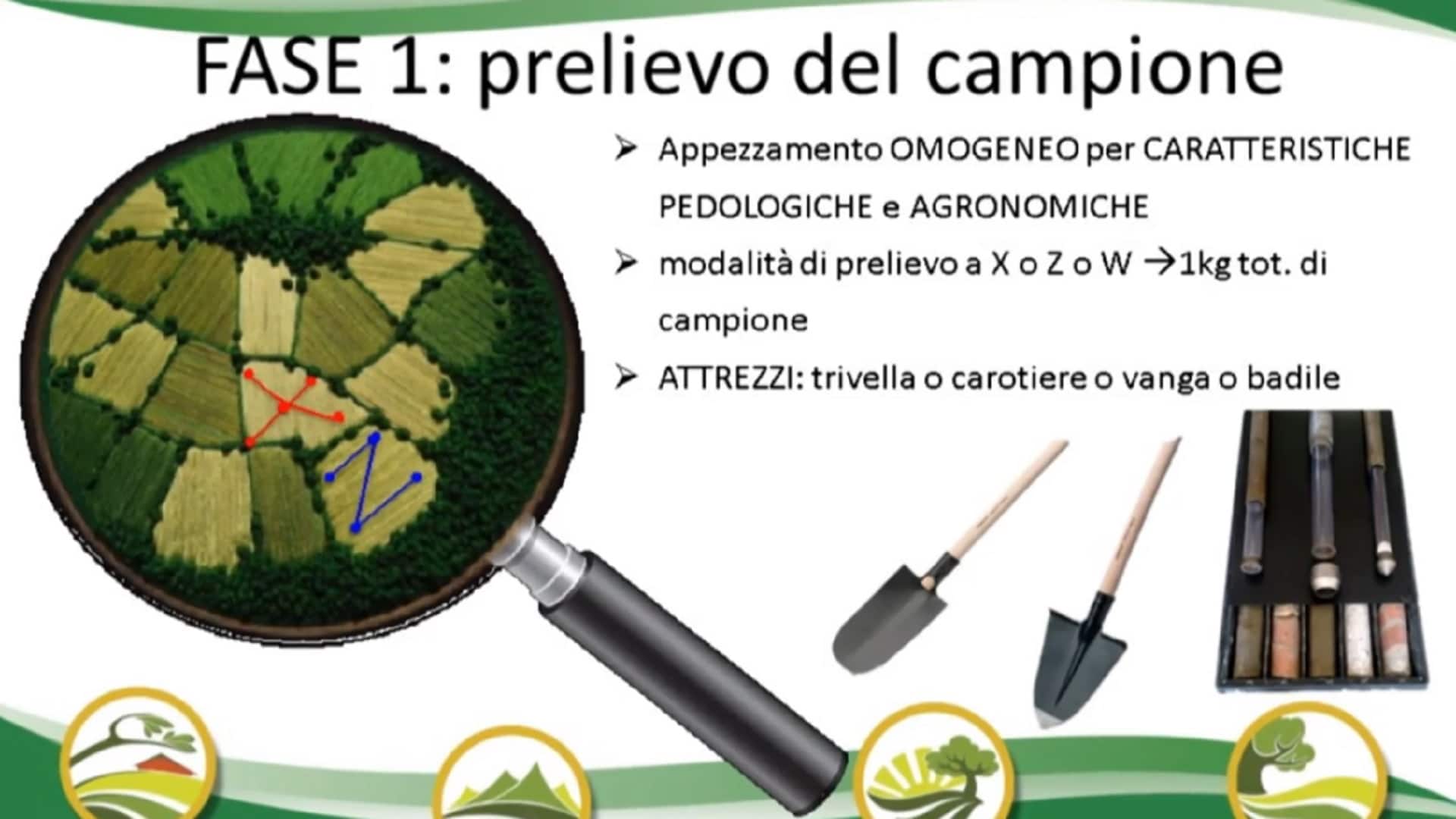 Prelievo del campione | Rai Cultura