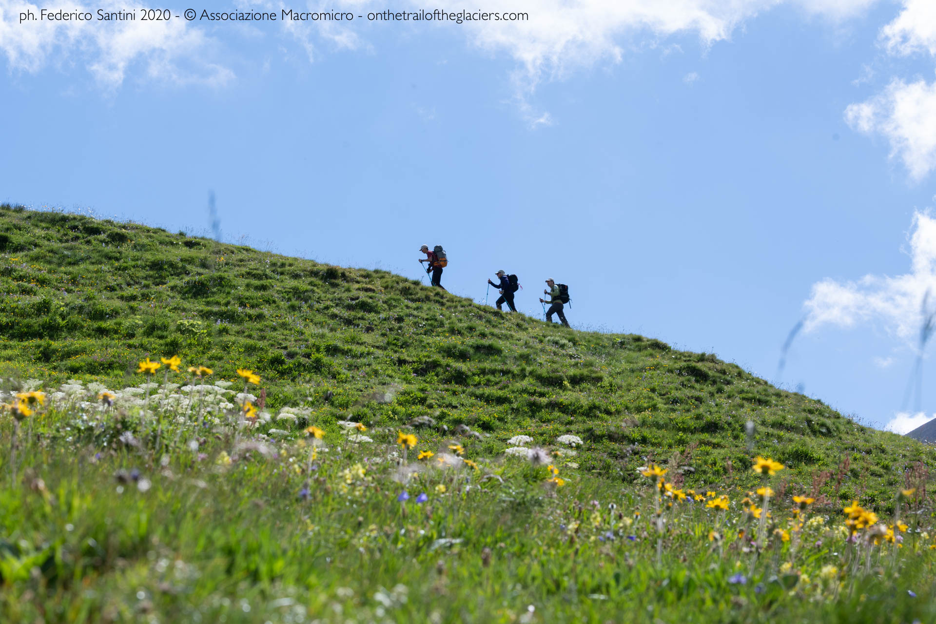 Courmayeur (Aosta). Spedizione "Sulle tracce dei ghiacciai - Alpi 2020". Ghiacciaio del Pré De Bar (Val Veny). Fotografia di Federico Santini 2020 - © Associazione Macromicro - onthetrailoftheglaciers.com