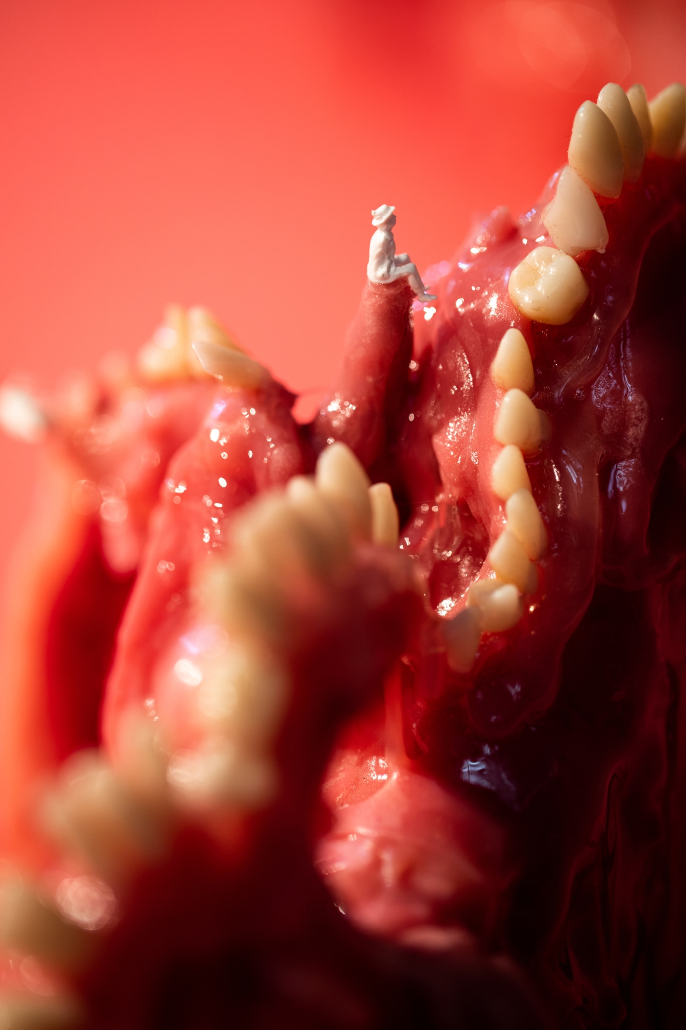 Mithu Sen - PHANTOM PAIN 2 (particolare) - 2018 - installazione di denti artificiali e plastica dentale - ⌀ 241 cm - Kunstmuseum Wolfsburg - © Mithu Sen - Foto: Marek Kruszewski 