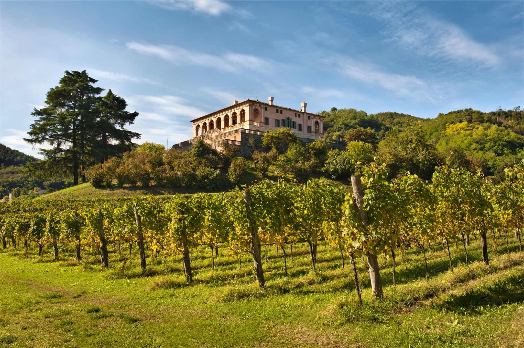 Villa dei Vescovi, Luvigliano di Torreglia, Padova. Donazione del 2005 di Maria Teresa Olcese Valoti e Pierpaolo Olcese, aperta al pubblico dal 2011. Veduta della villa nella campagna dei Colli Euganei