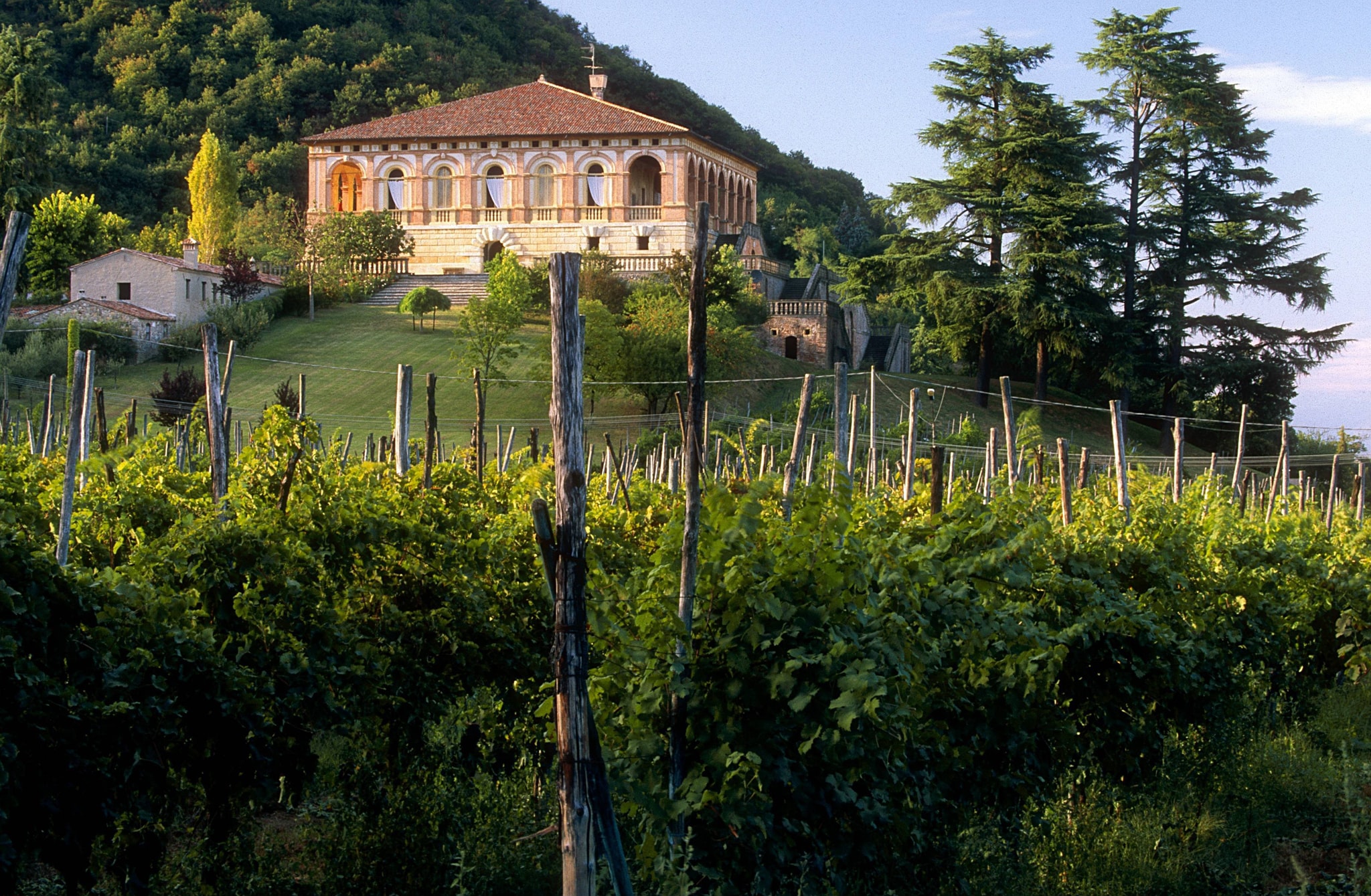 Villa dei Vescovi, Luvigliano di Torreglia, Padova. Donazione del 2005 di Maria Teresa Olcese Valoti e Pierpaolo Olcese, aperta al pubblico dal 2011. Veduta della villa e del vigneto