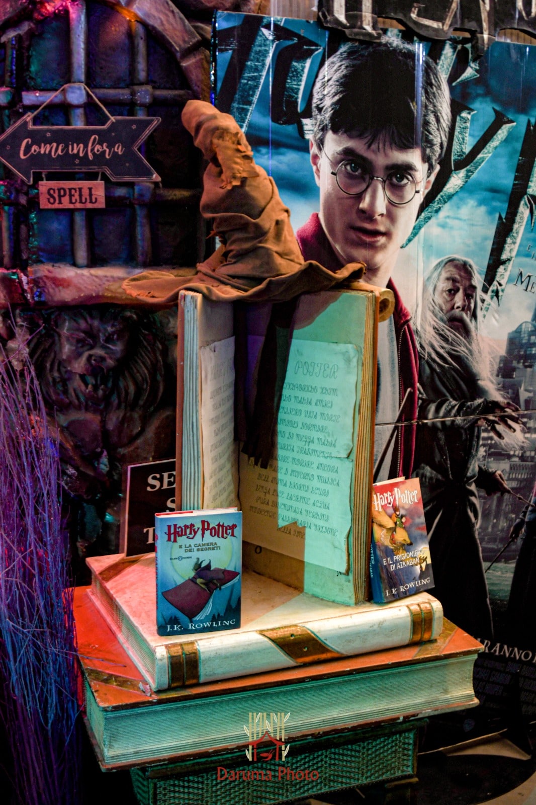 Harry Potter, locandine e libri