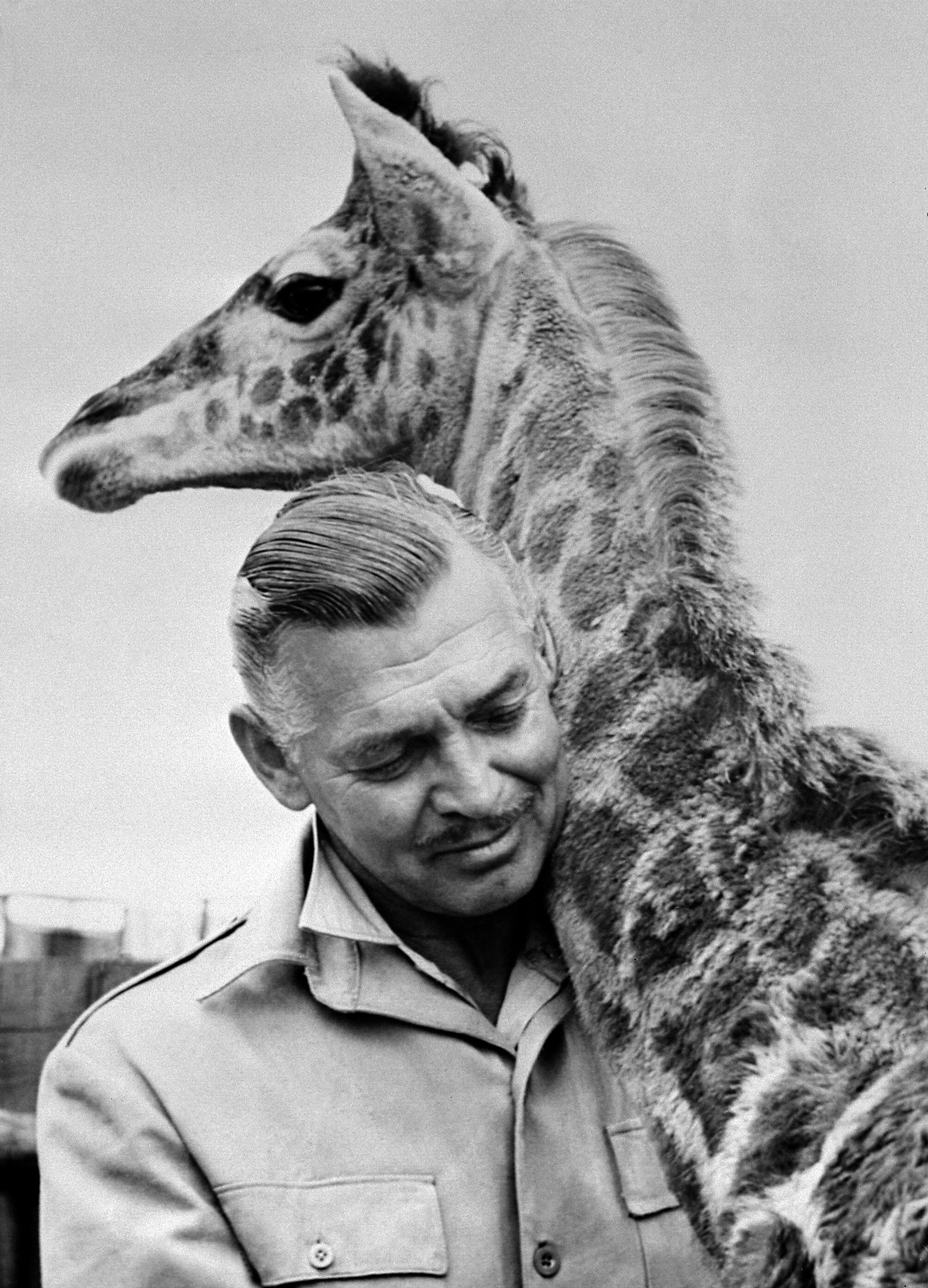 1952. Sul set del film "Magambo"