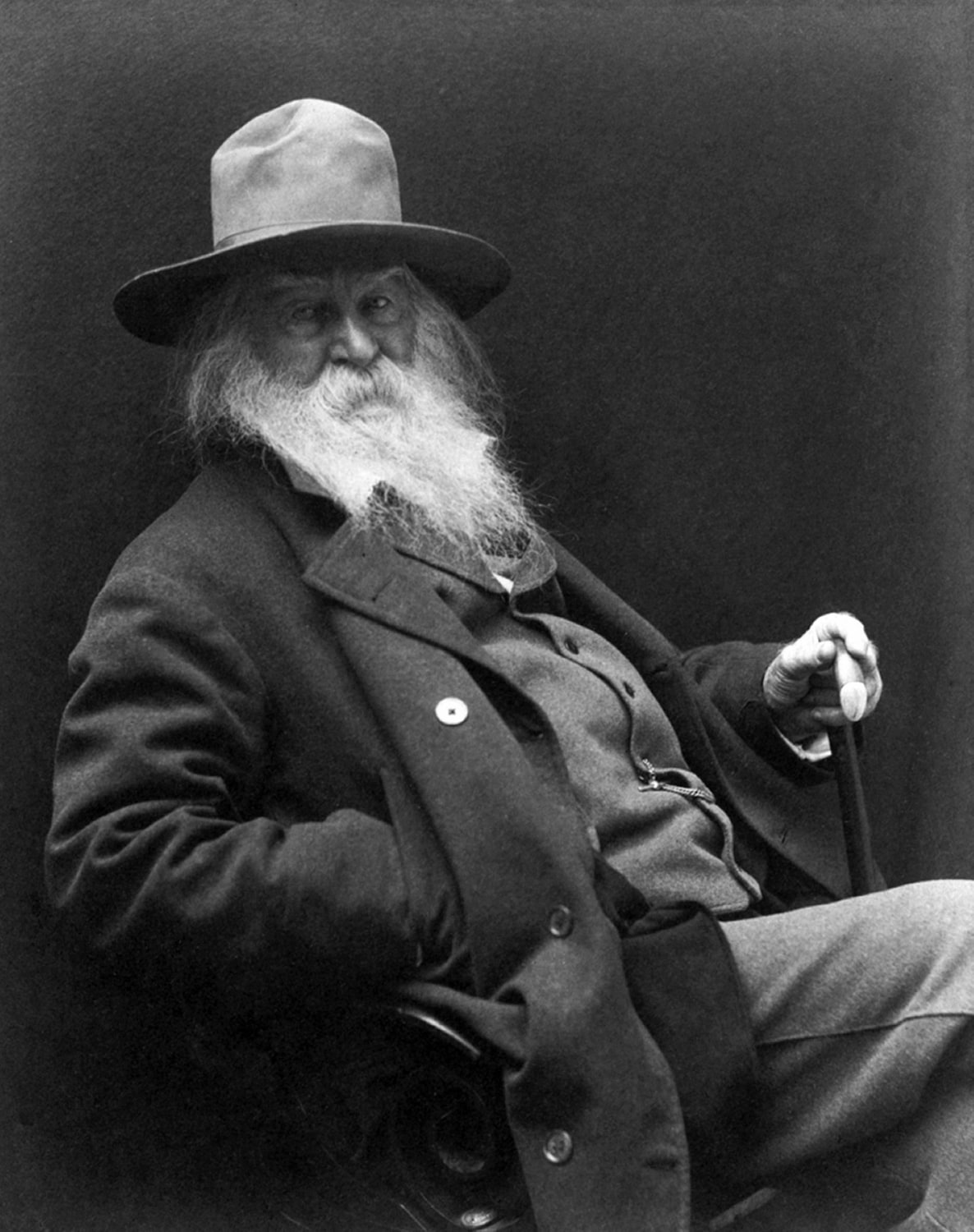 "Il problema non è che Walt Whitman abbia scritto Foglie d'erba, ma che non lo abbia bruciato subito dopo" - Thomas Wentworth Higginson, The Atlantic, 1867