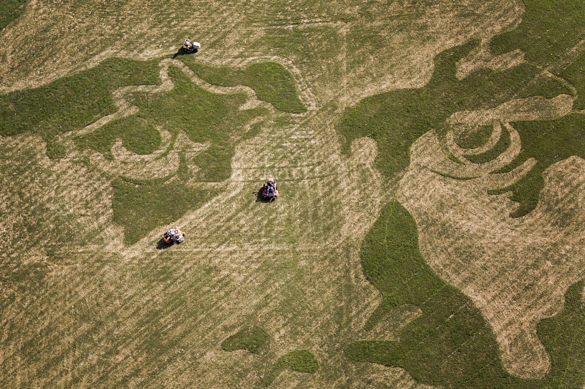 Veduta aerea di un campo ai margini dei monti Catskill dove a Ellenville l'artista Roger Baker ha creato il ritratto del compositore Ludwig van Beethoven (NY, 17 giugno 2016). Baker, detto il "da Vinci del tosaerba", ha ritagliato anche ritratti di grandi dimensioni della Statua della Libertà, Albert Einstein, Jimi Hendrix ed Elvis Presley. Foto Piotr Redlinski / The New York Times / contrasto