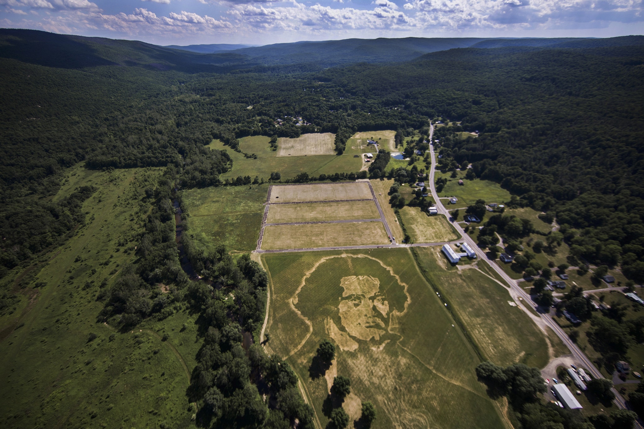 Veduta aerea di un campo ai margini dei monti Catskill dove a Ellenville l'artista Roger Baker ha creato il ritratto del compositore Ludwig van Beethoven (NY, 17 giugno 2016). Baker, detto il "da Vinci del tosaerba", ha ritagliato anche ritratti di grandi dimensioni della Statua della Libertà, Albert Einstein, Jimi Hendrix ed Elvis Presley. Foto Piotr Redlinski / The New York Times / contrasto