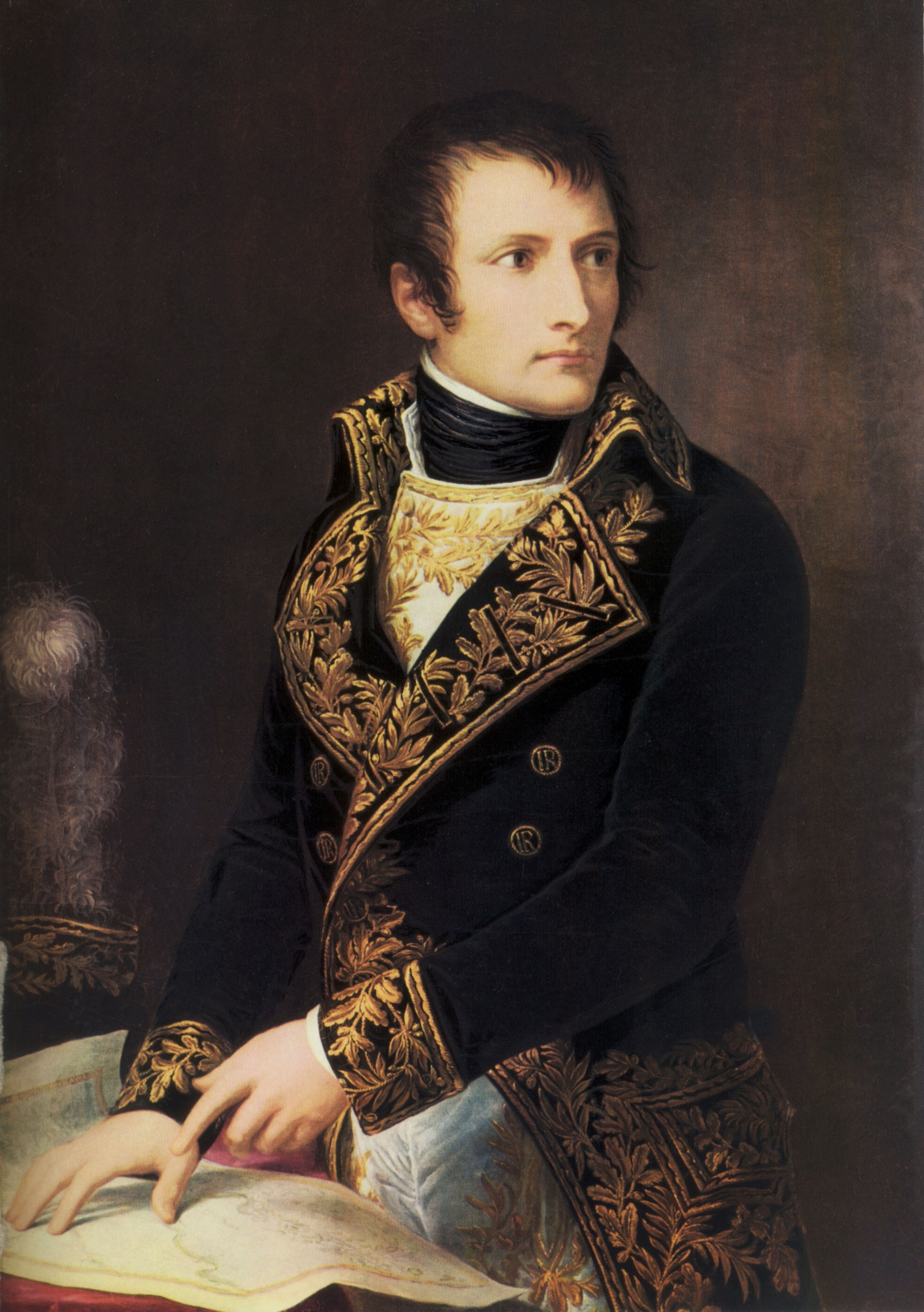 Il giovane generale francese Napoleone Bonaparte, a ventisette anni, dopo alcune vittorie della Francia rivoluzionaria contro le truppe inglesi, viene inviato in Italia nel 1796 dal governo repubblicano francese 