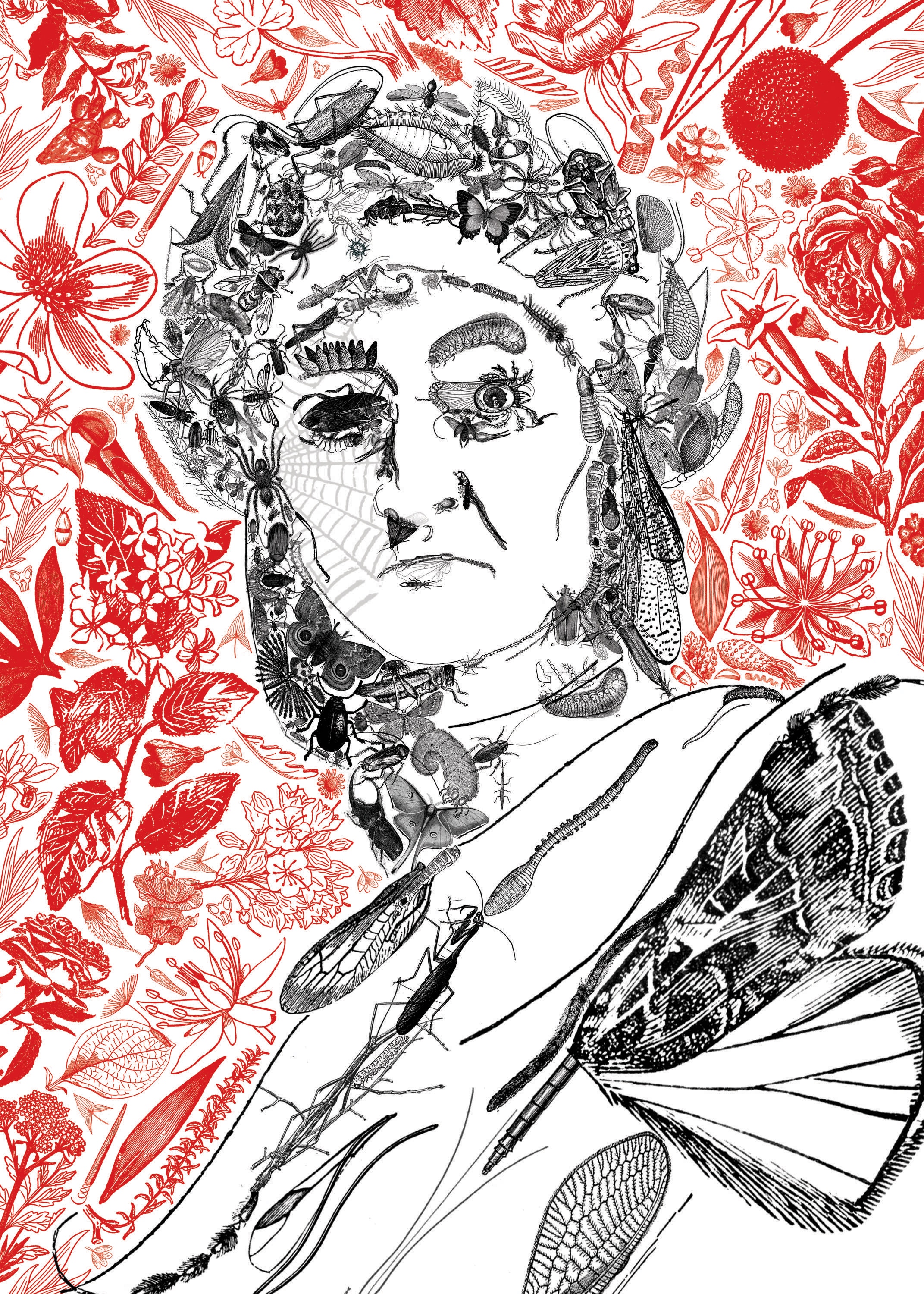 Autore: Sebastiano Barcaroli