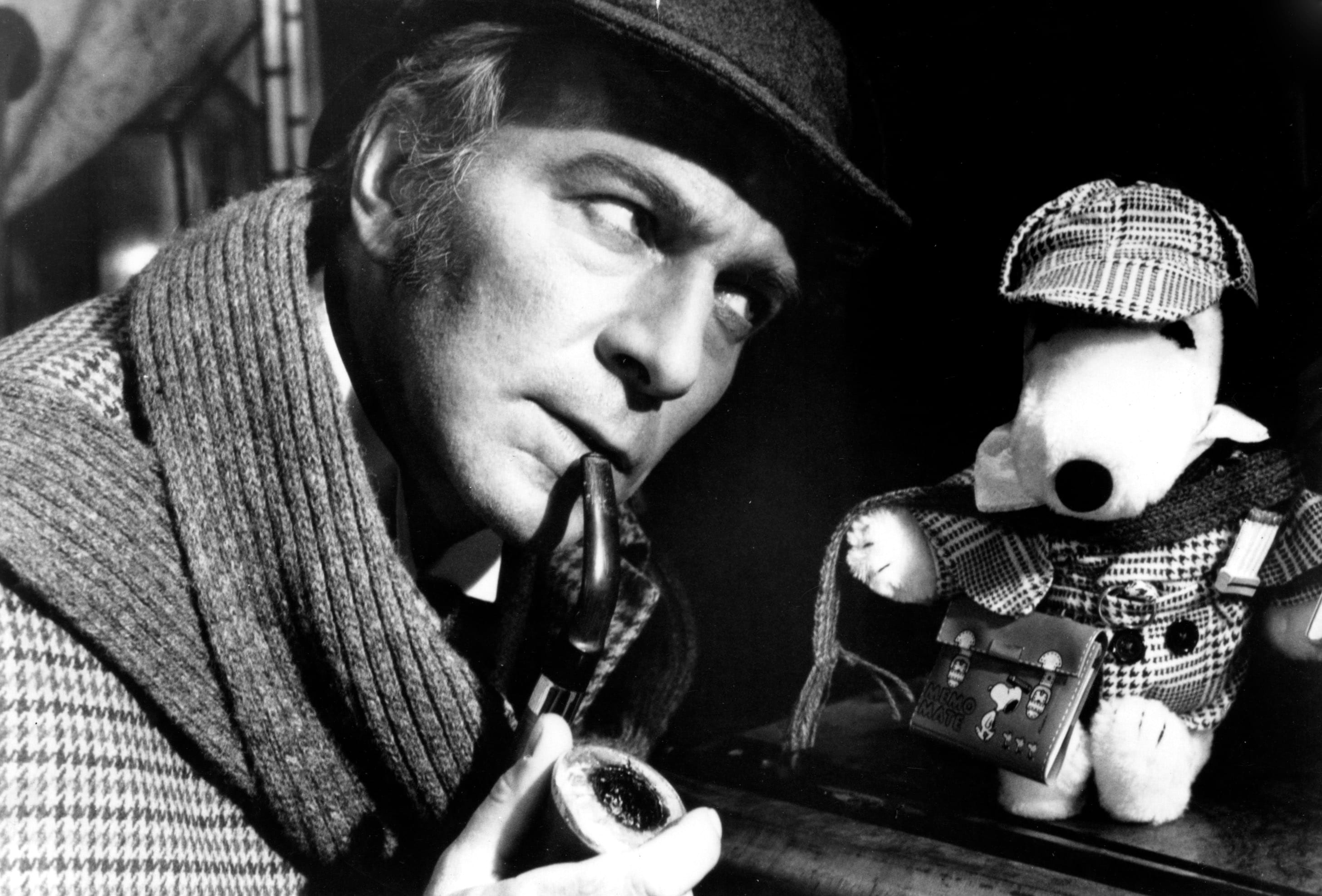 Nel 1979 Plummer è Sherlock Holmes in "Assassinio su commissione"