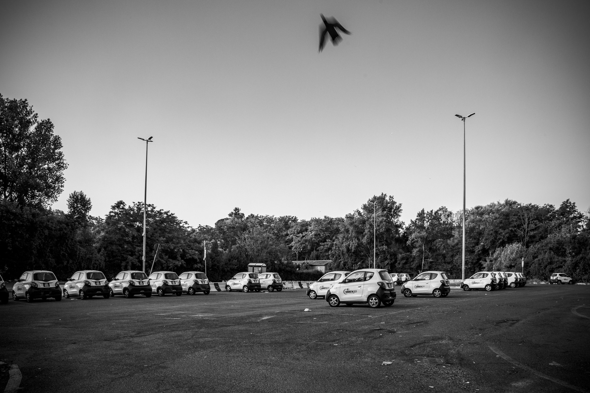#7 dalla serie “Chiusa per Ferie” © Giovanni De Angelis, 2019. Fine art print su carta cotone 50x70 edizioni di 3 