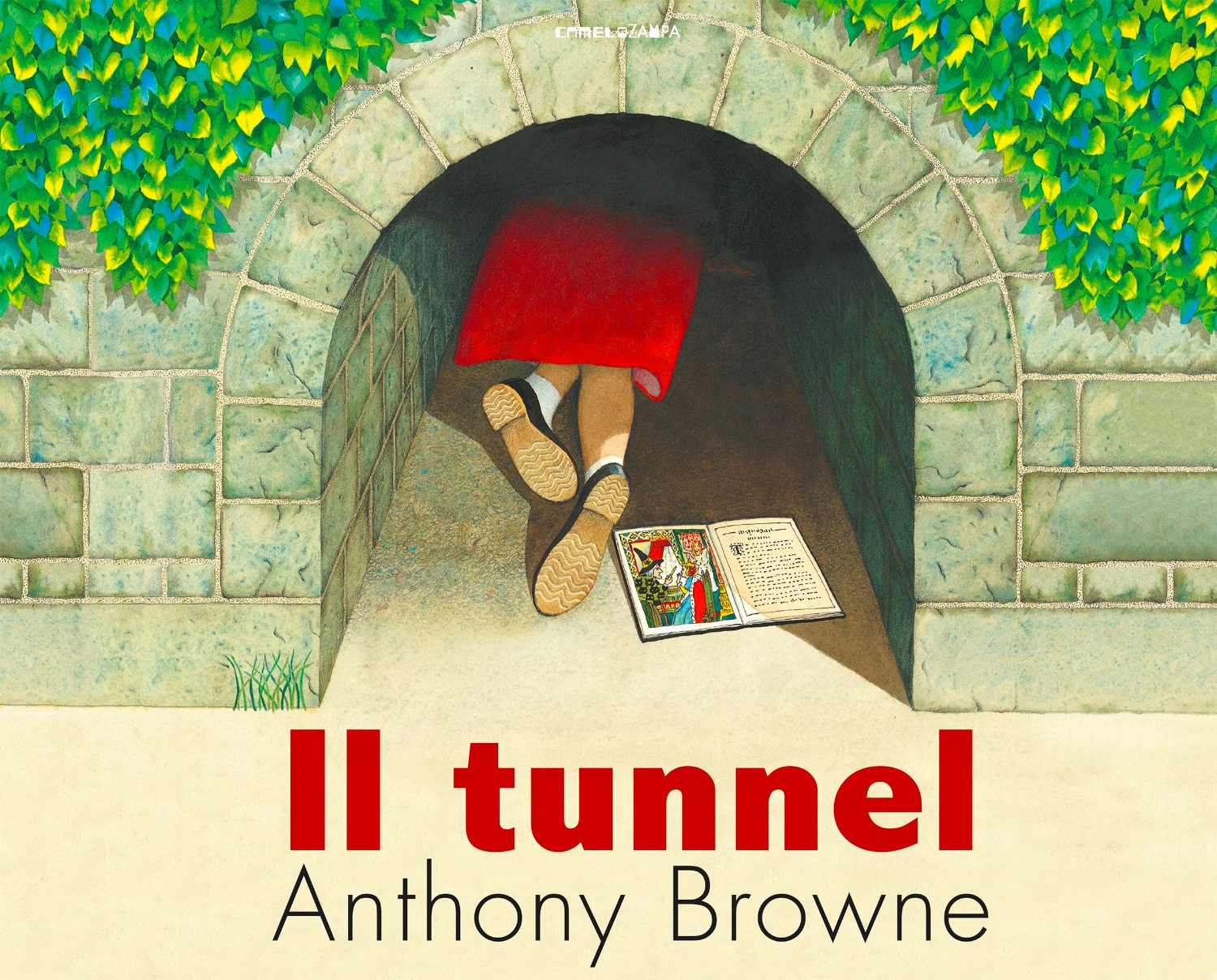 "Il tunnel" di Anthony Browne (Camelozampa)