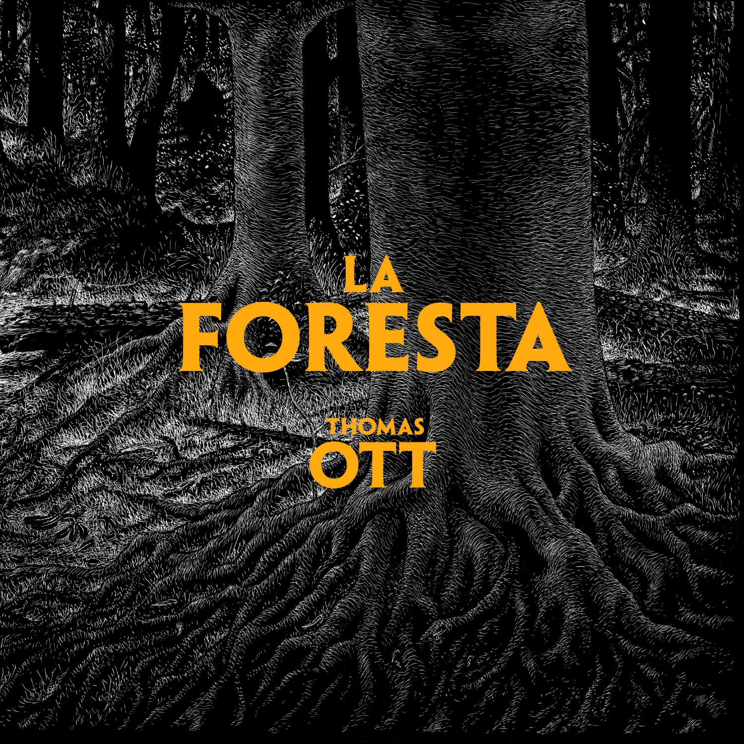 "La foresta", di Thomas Ott (Logos Edizioni)