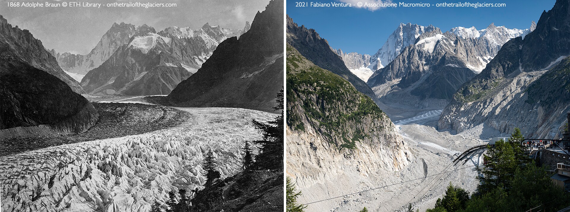 Sulle tracce dei ghiacciai - Alpi 2021